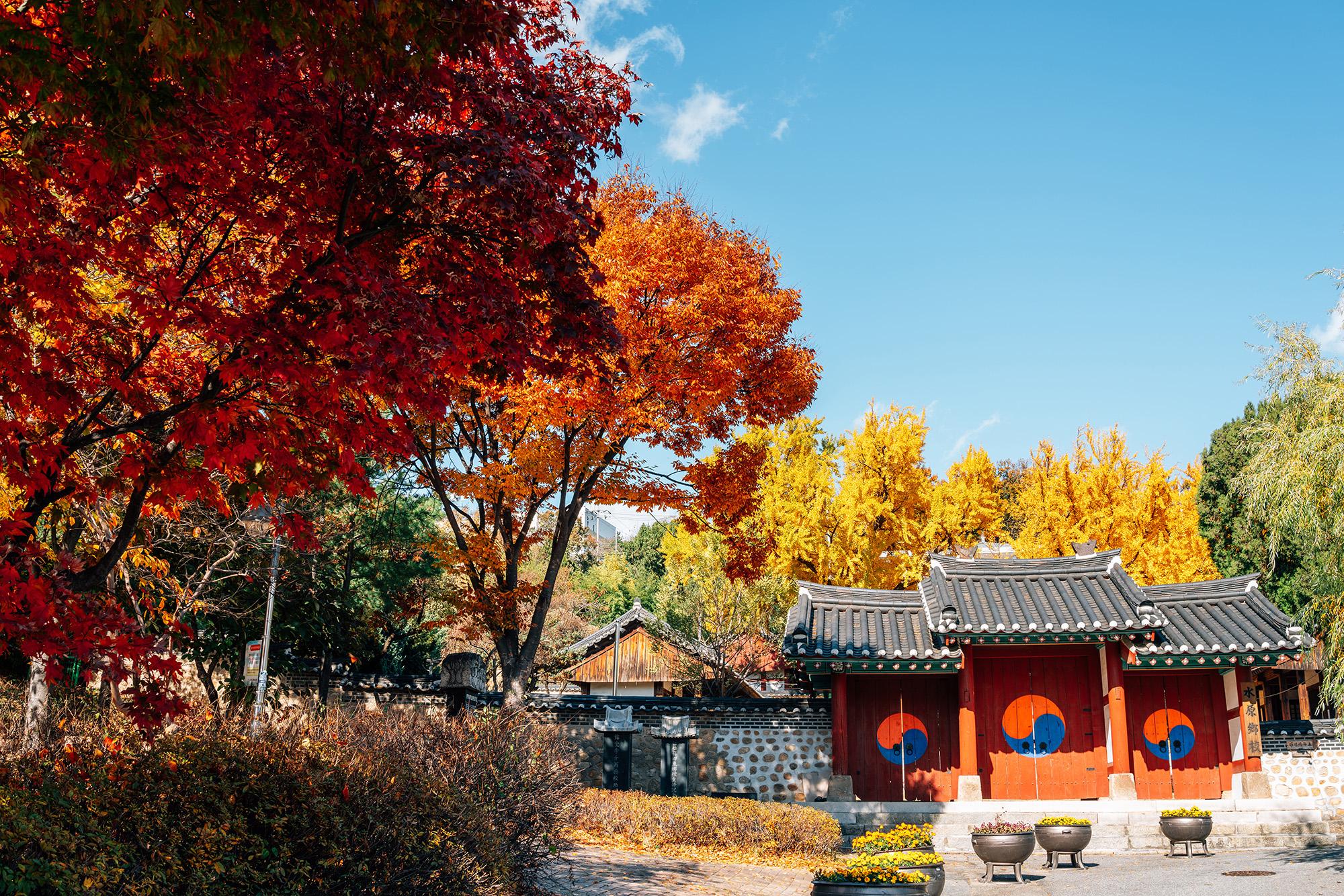 Seoul: Suwon Hwaseong Fortress & Folk Village or Starfield