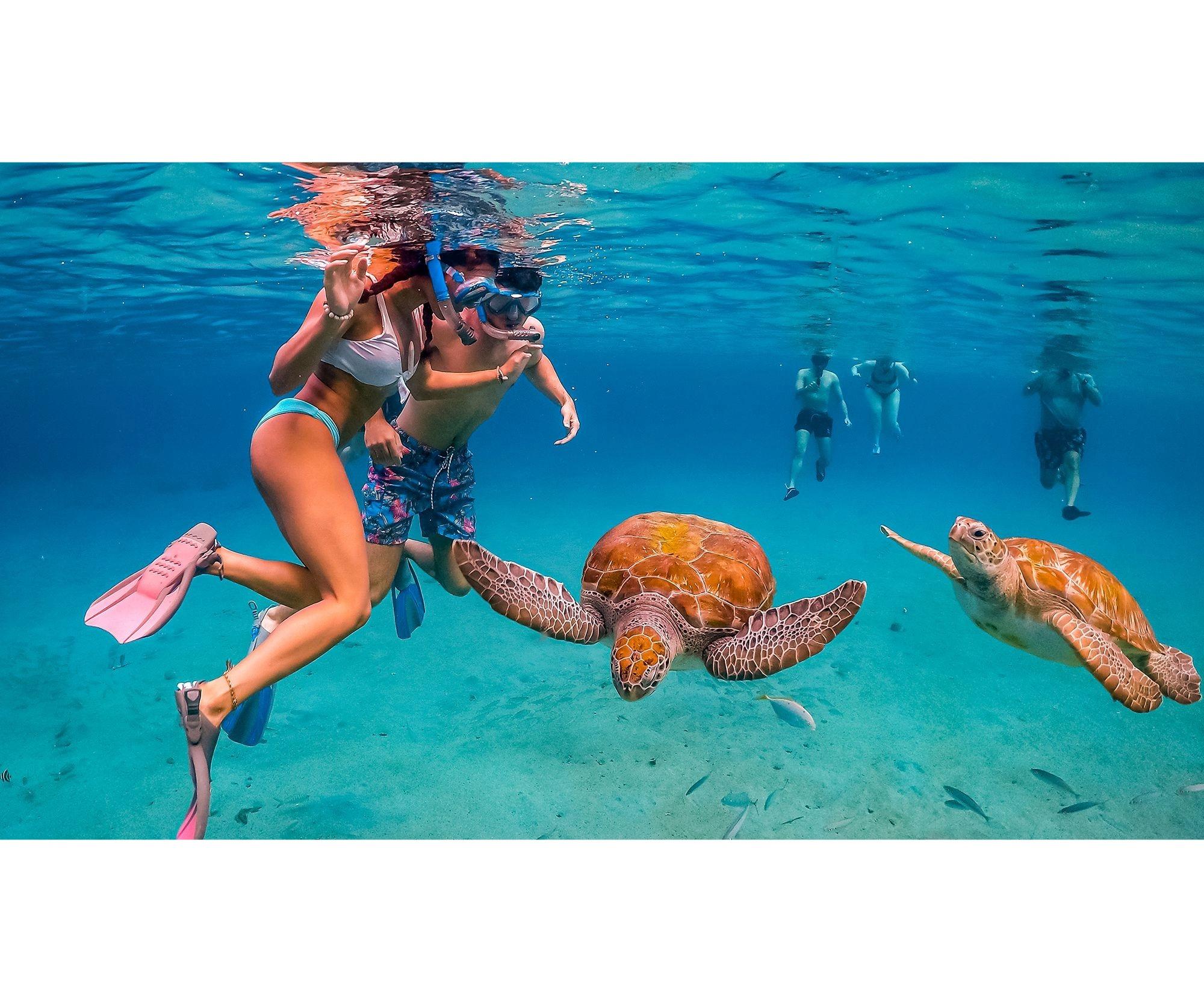 Private Curaçao Island Tour with Turtle Snorkeling