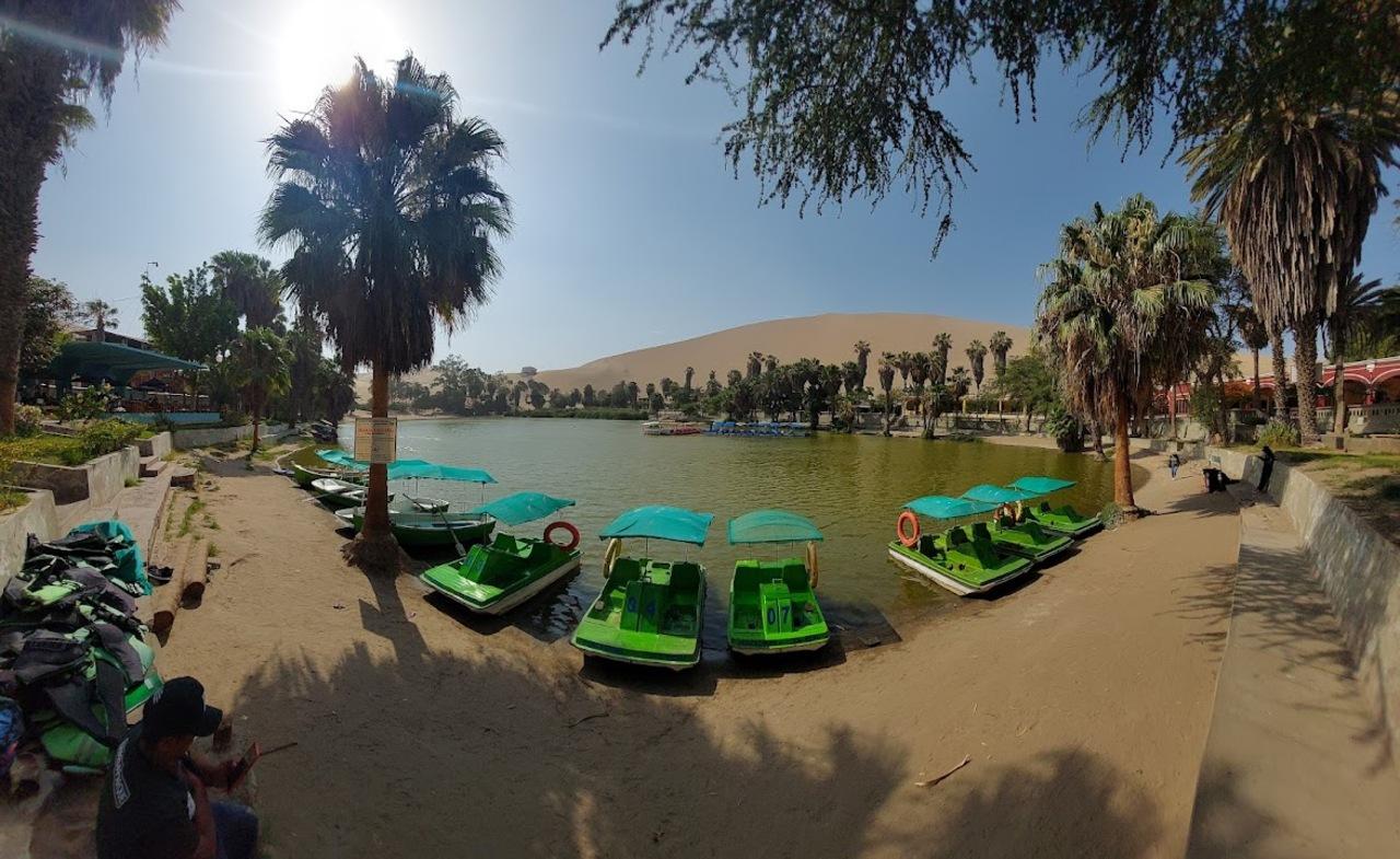 Excursión de un día a Paracas y Huacachina: vida silvestre, aventura en el desierto y cata de vinos