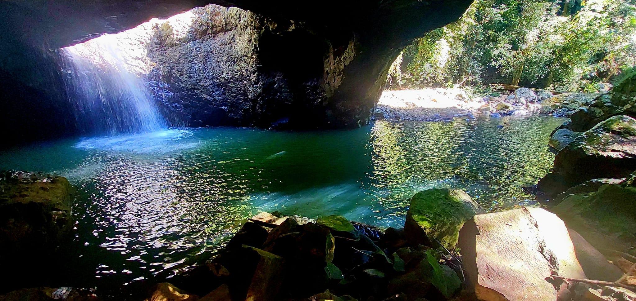 Springbrook Rainforest & Waterfalls Private Day Tour
