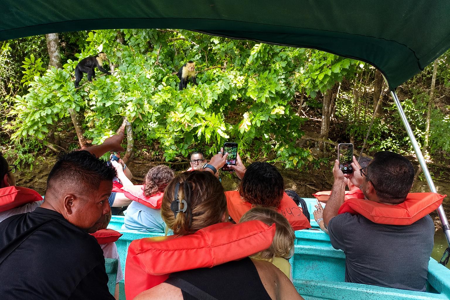 Panama Canal wildlife tour in Soberania National Park and on Gatun Lake — image 10