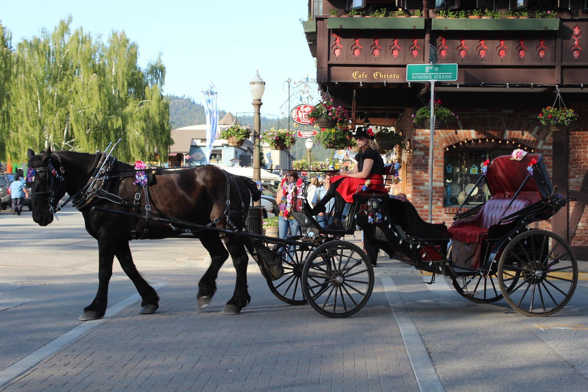 Cascade Mountains & Leavenworth Winter Day Tour from Seattle