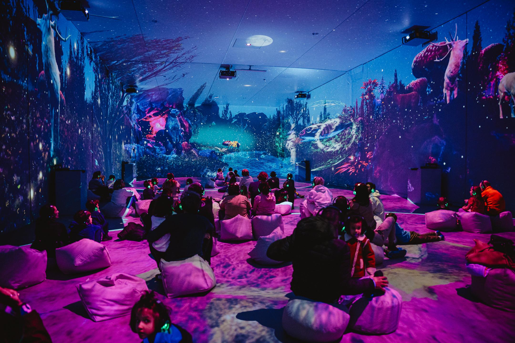 MINA Immersive Art Museum Entry