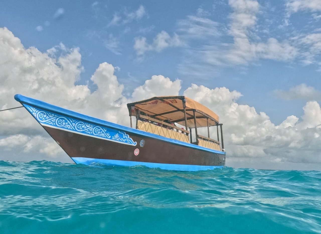 Mnemba Atoll Dolphin & Snorkel Boat Adventure from Kendwa or Nungwi