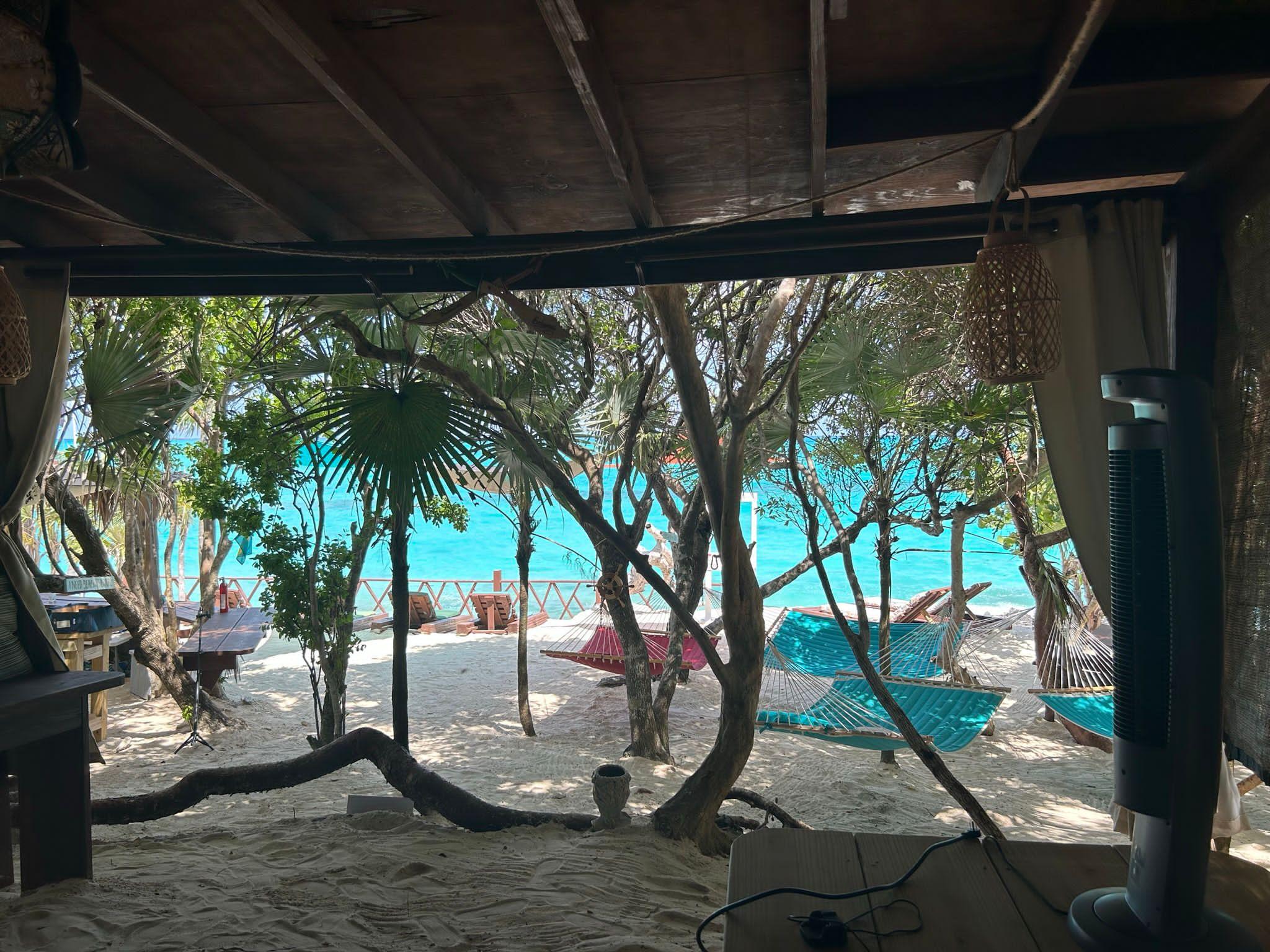Nassau Powerboat Adventure: Snorkeling, Turtles & Private Beach Club
