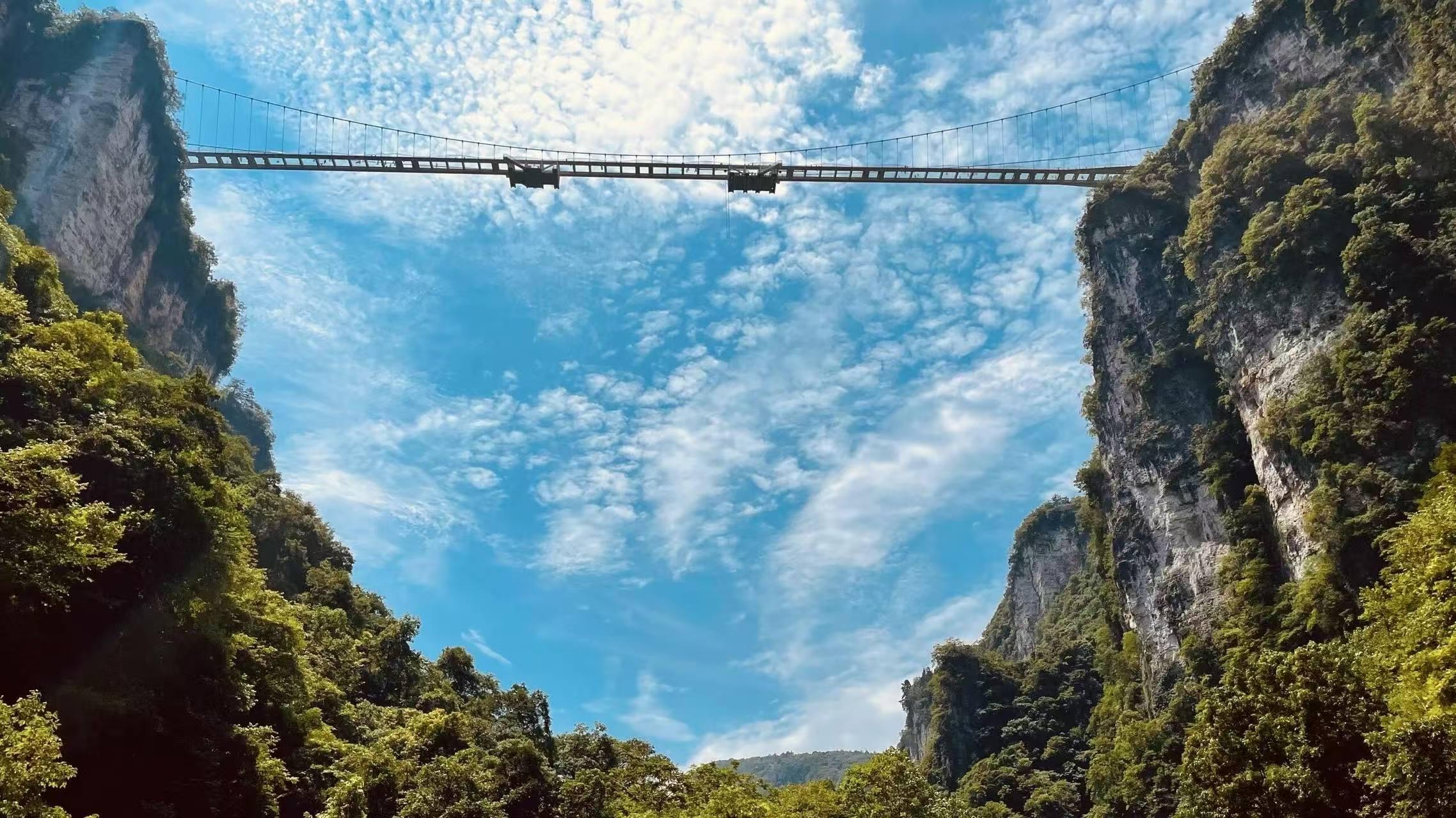 Zhangjiajie Glass Bridge, Avatar Mountains & Tianmen Private Day Trip