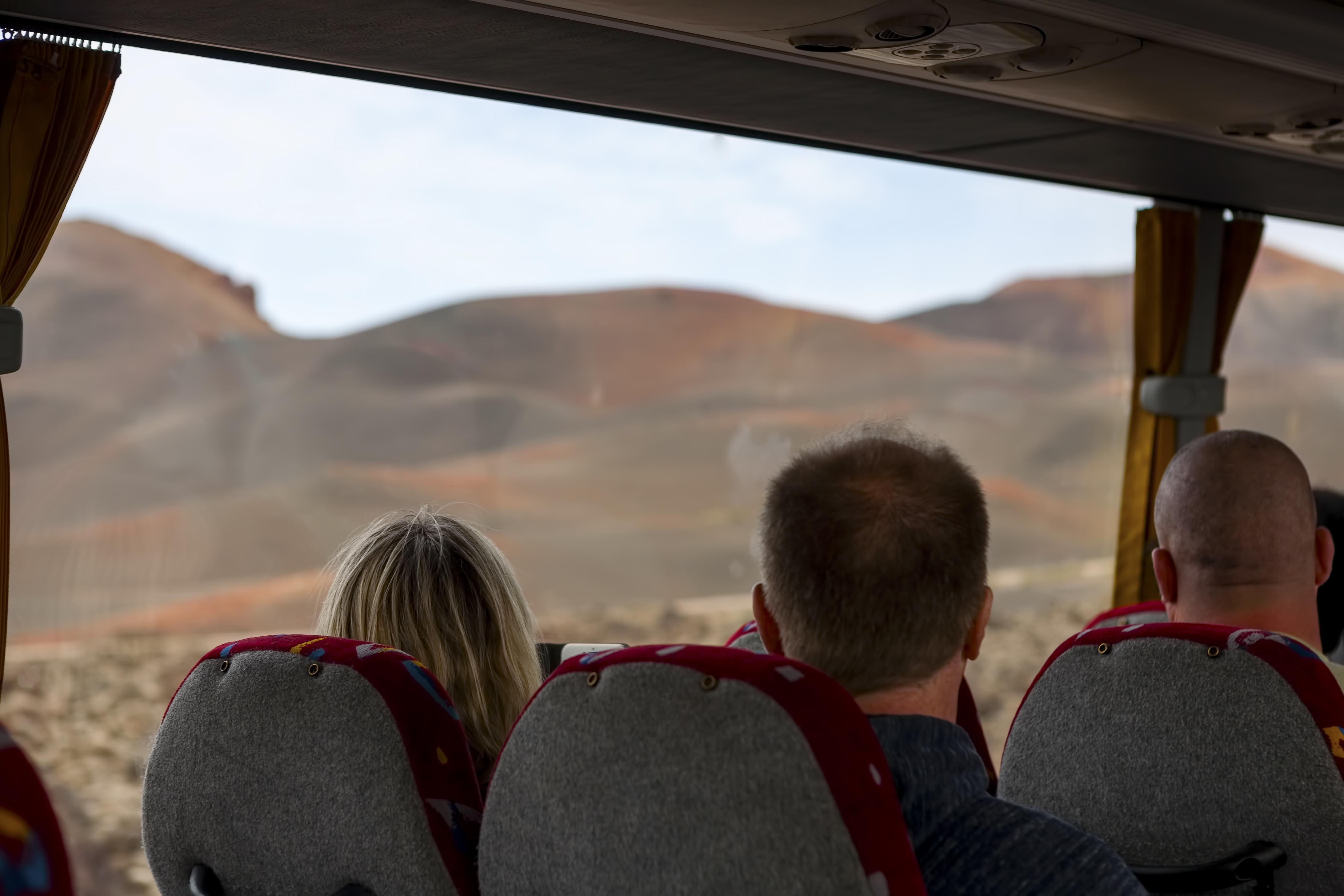 Lanzarote volcano tour to Timanfaya National Park — image 13