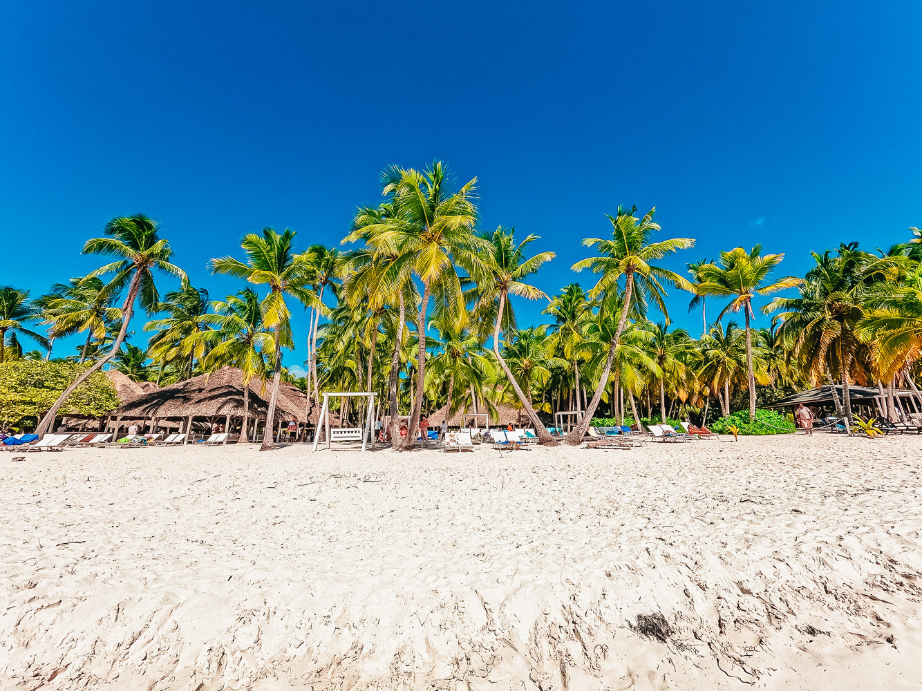 Saona Island Catamaran & Speedboat Expedition