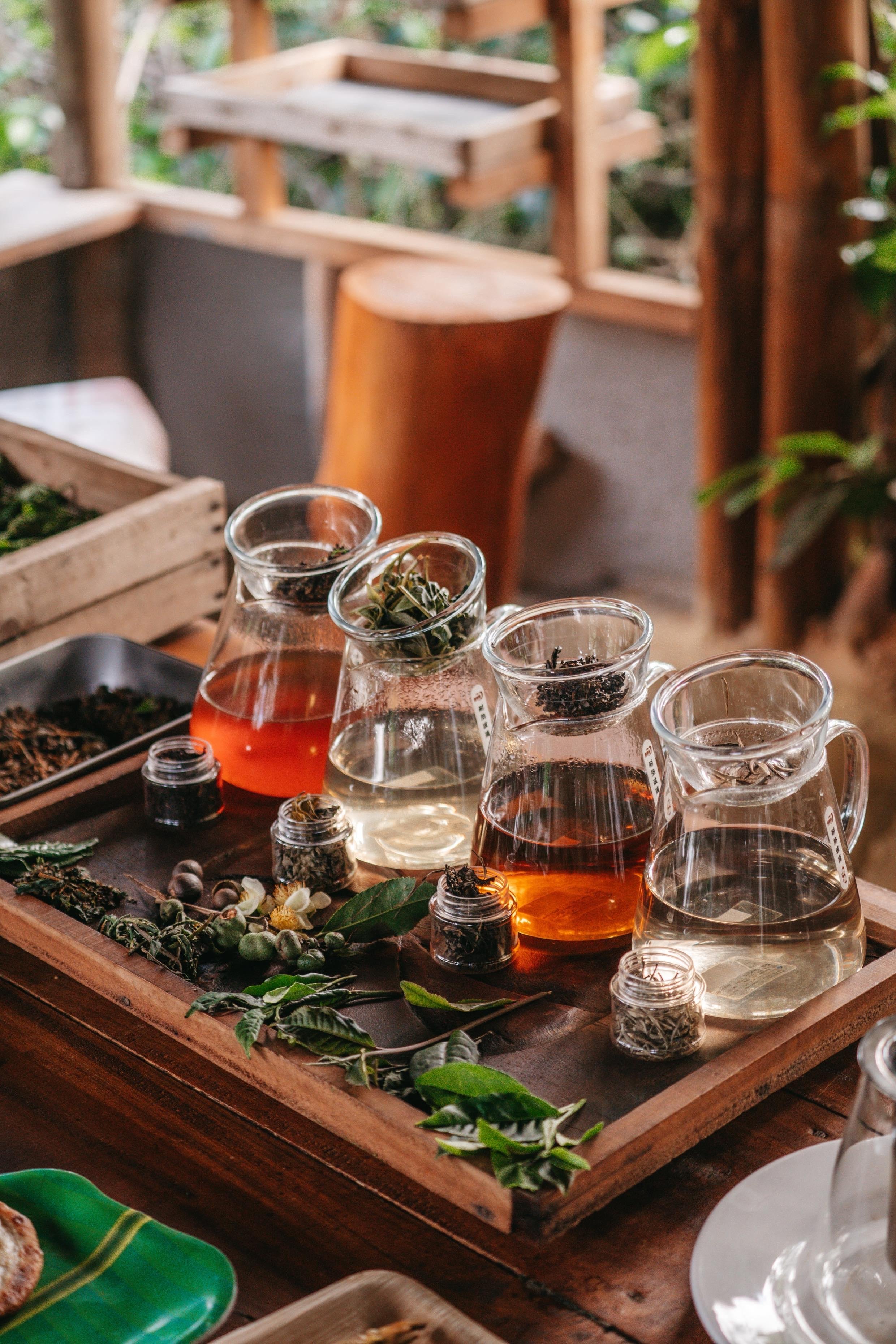 Ella: Hands-On Tea Crafting and Tasting Experience