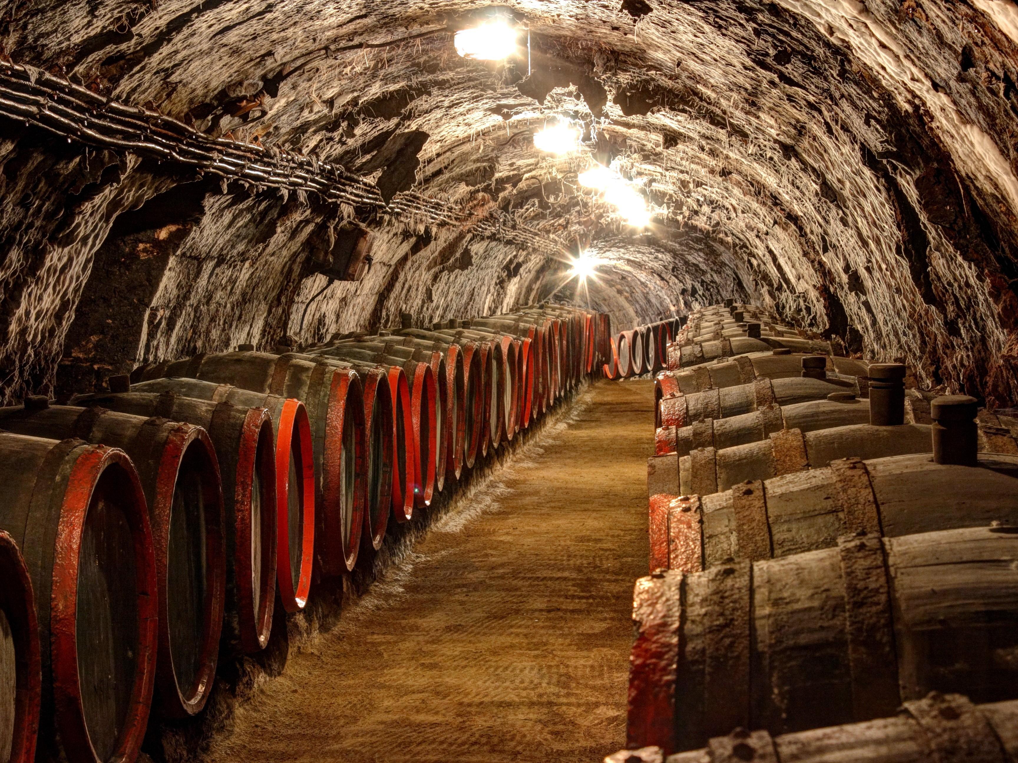 Tokaj Wine Region Day Trip from Budapest