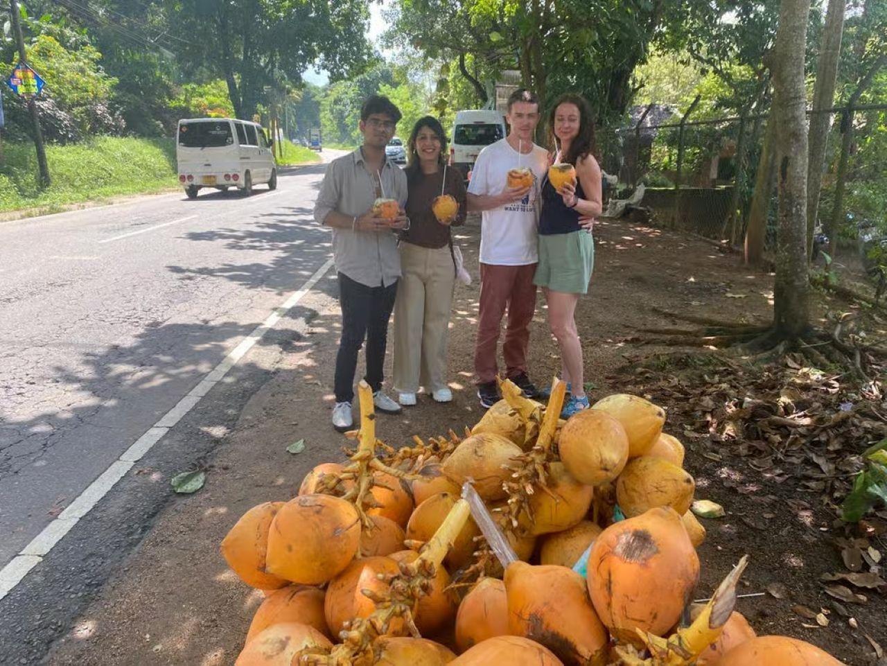 Kandy, Pinnawala & Tea Country Full-Day Excursion