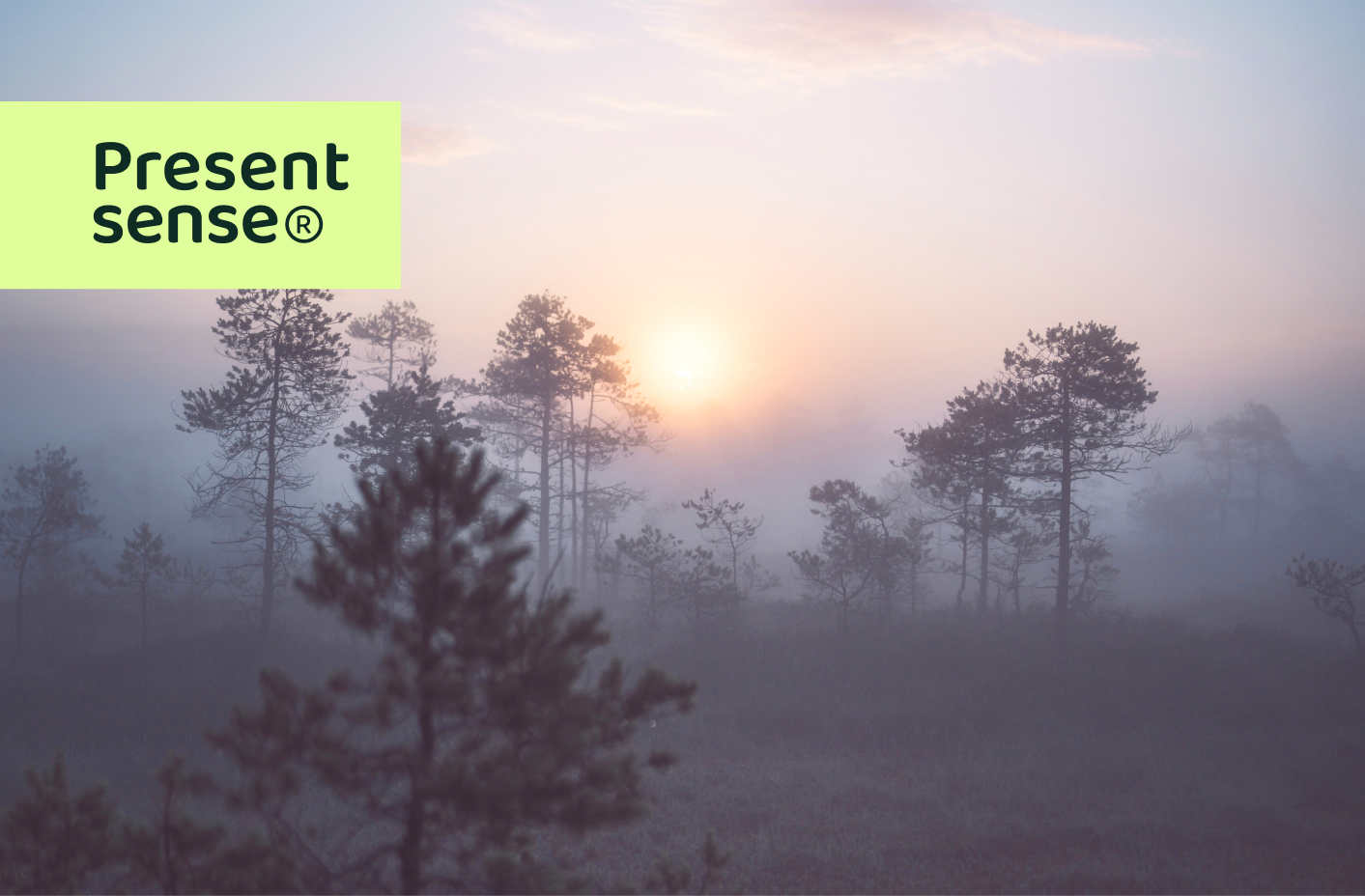 From Tallinn: Lahemaa National Park Sunrise Bog Hike