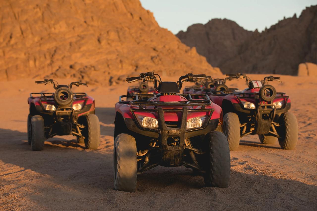 Sharm El-Sheikh Desert Safari: ATV Ride, Camel Trek, Stargazing & Bedouin BBQ