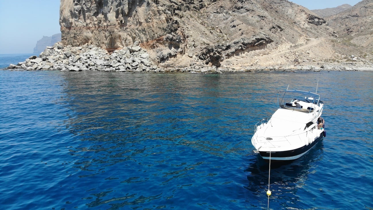 Gran Canaria: Dolphin Watching & Swim Stop on the KEEPER UNO