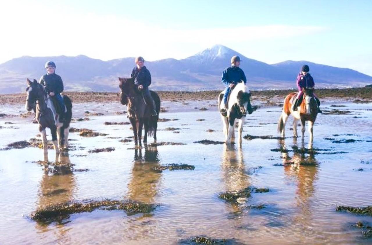 Westport Coastal Horse Ride to Clew Bay Beach