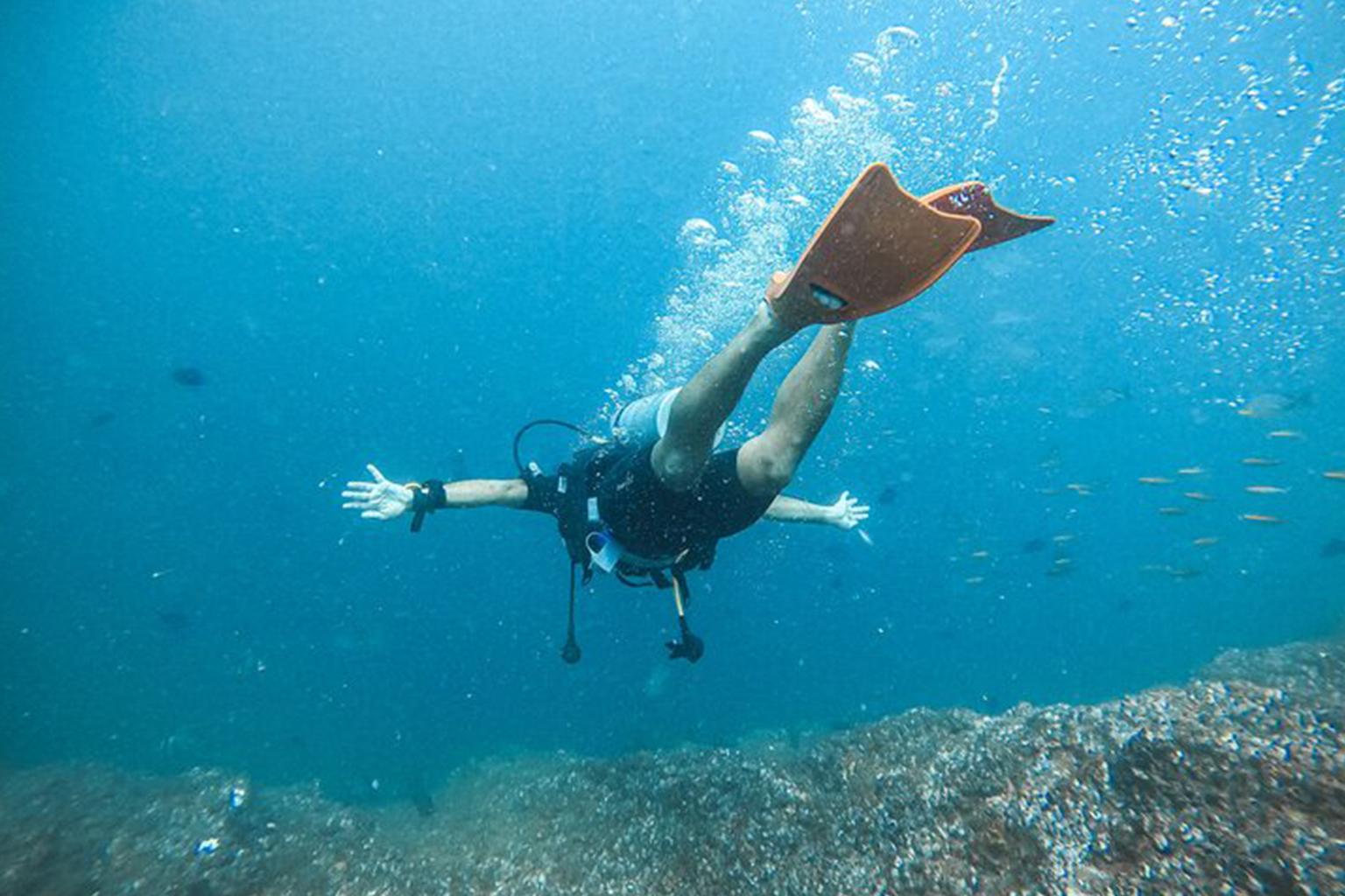 Mirissa Scuba Diving: Reefs & Marine Life Experience