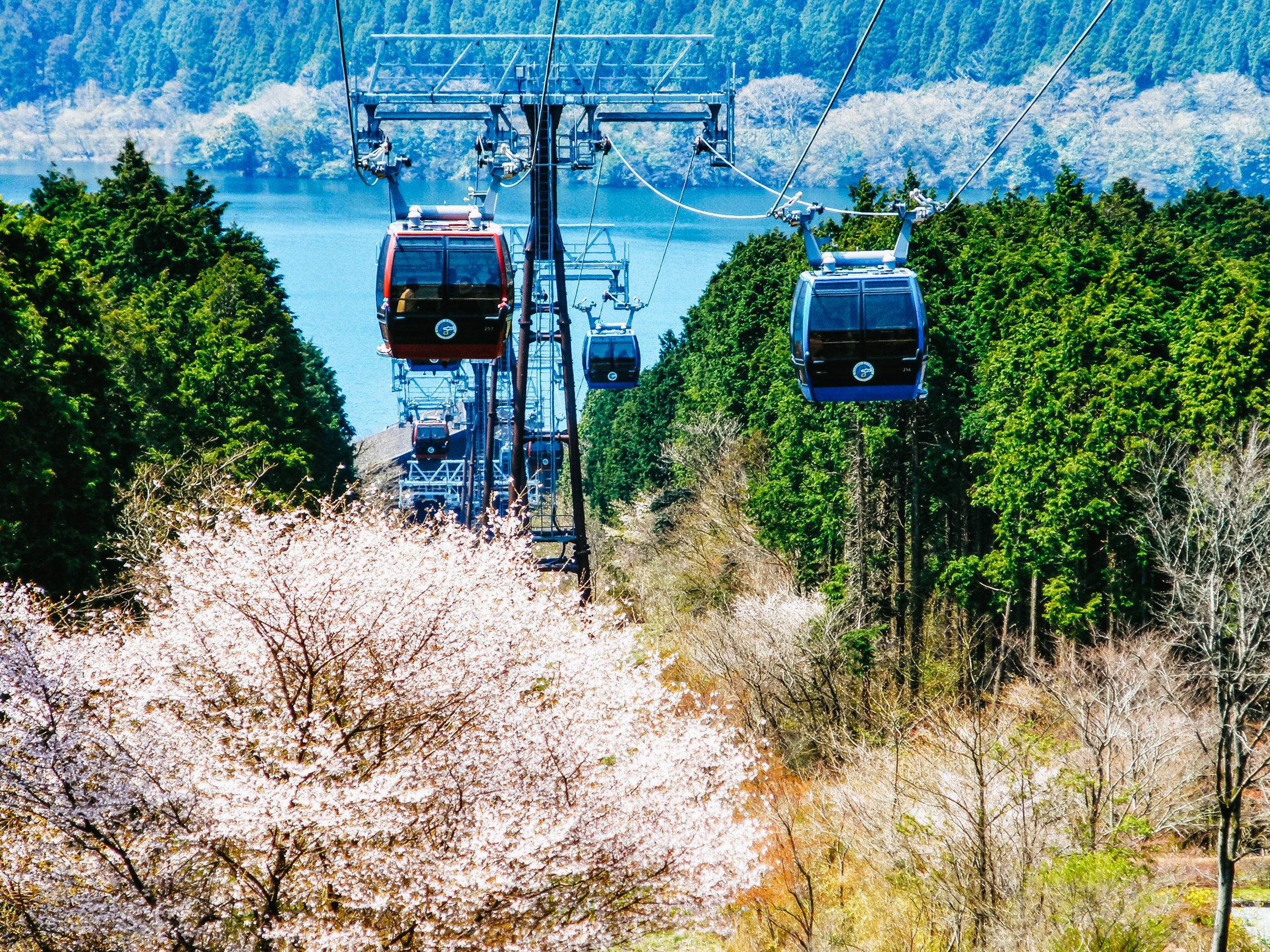 Tokyo to Mt. Fuji, Hakone & Bullet Train Day Tour