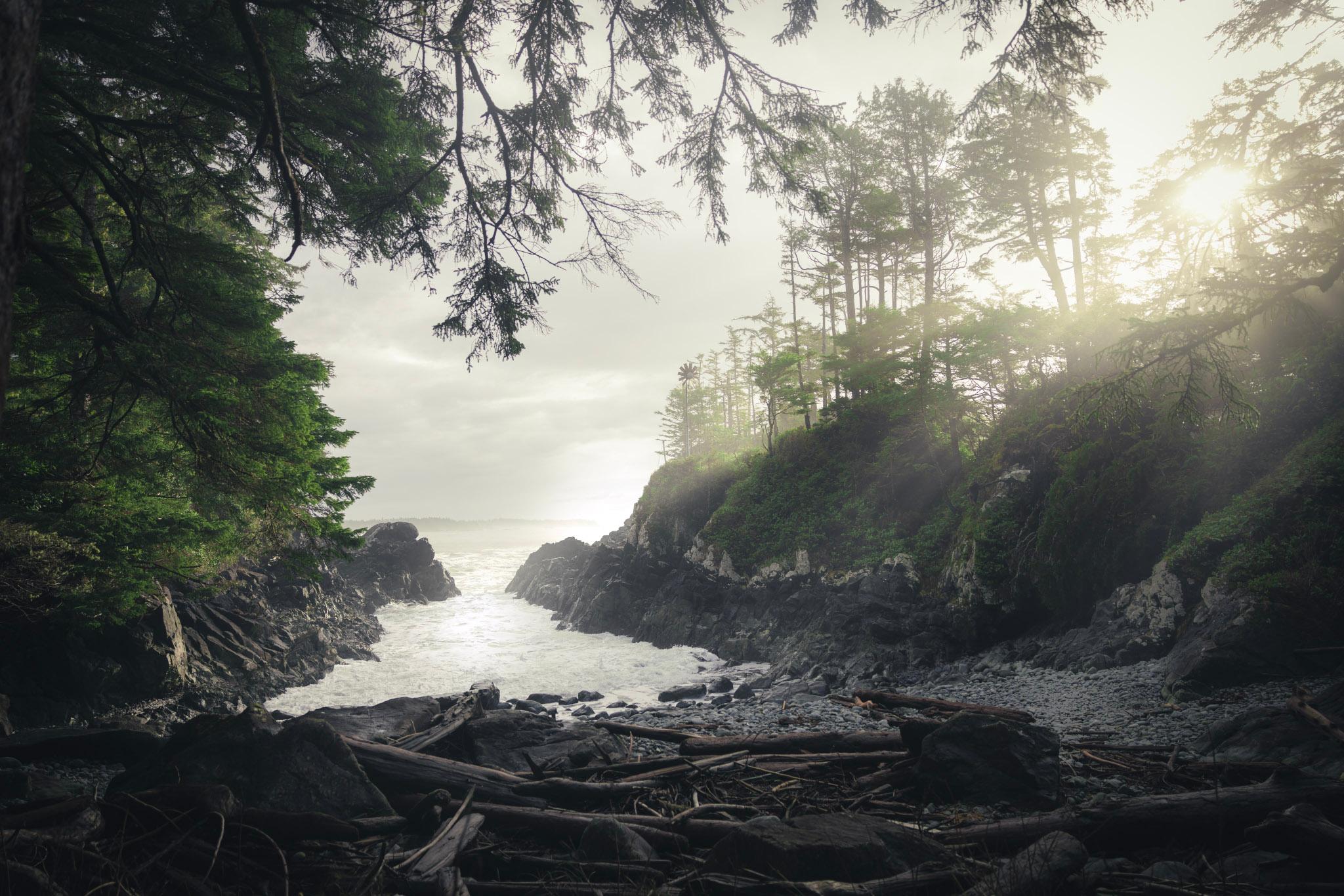 Tofino: Hot Springs Cove Tour with Wildlife Cruise