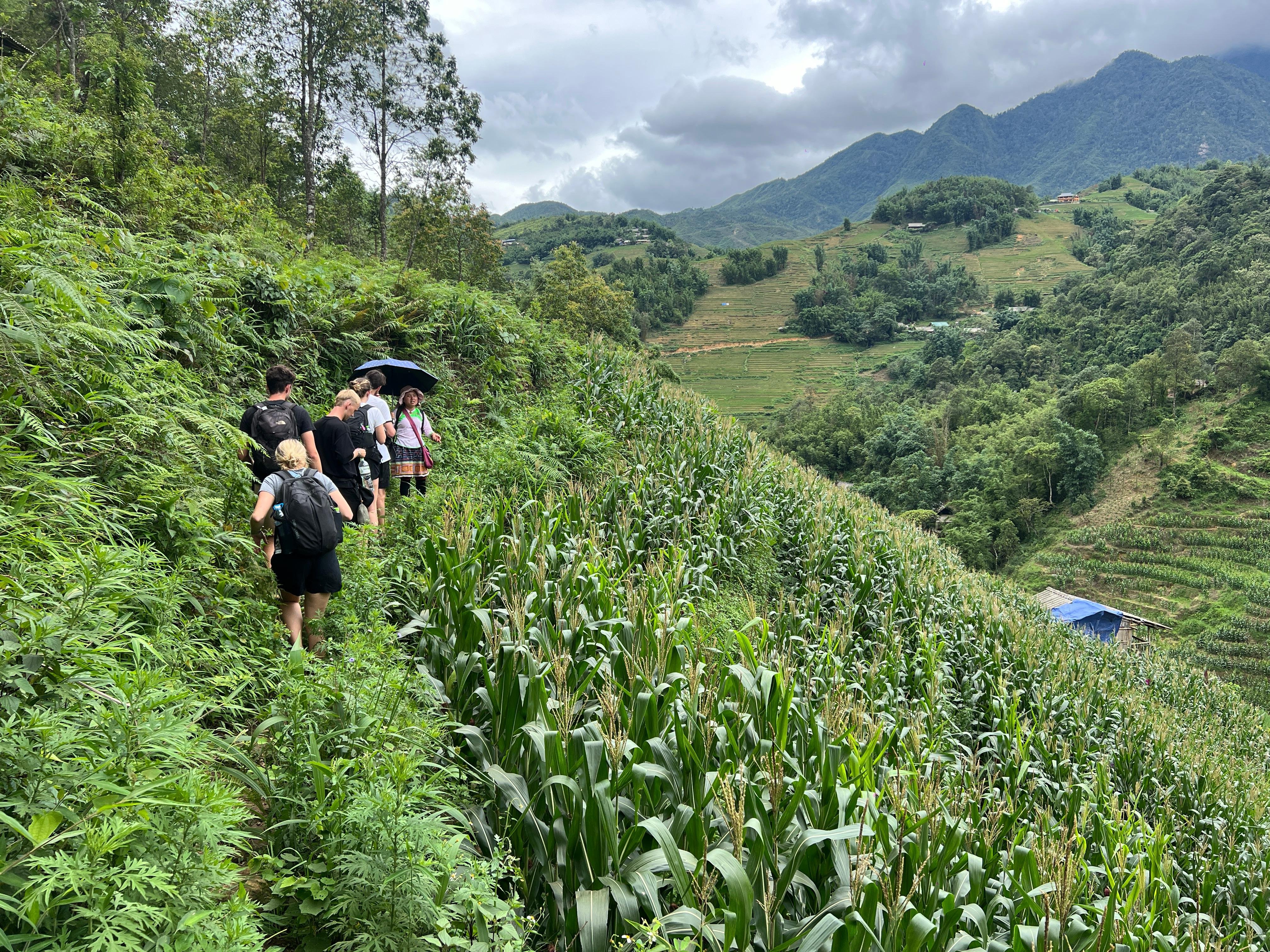 Sapa 2-day trek — Muong Hoa Valley rice terraces and ethnic-minority villages — image 14