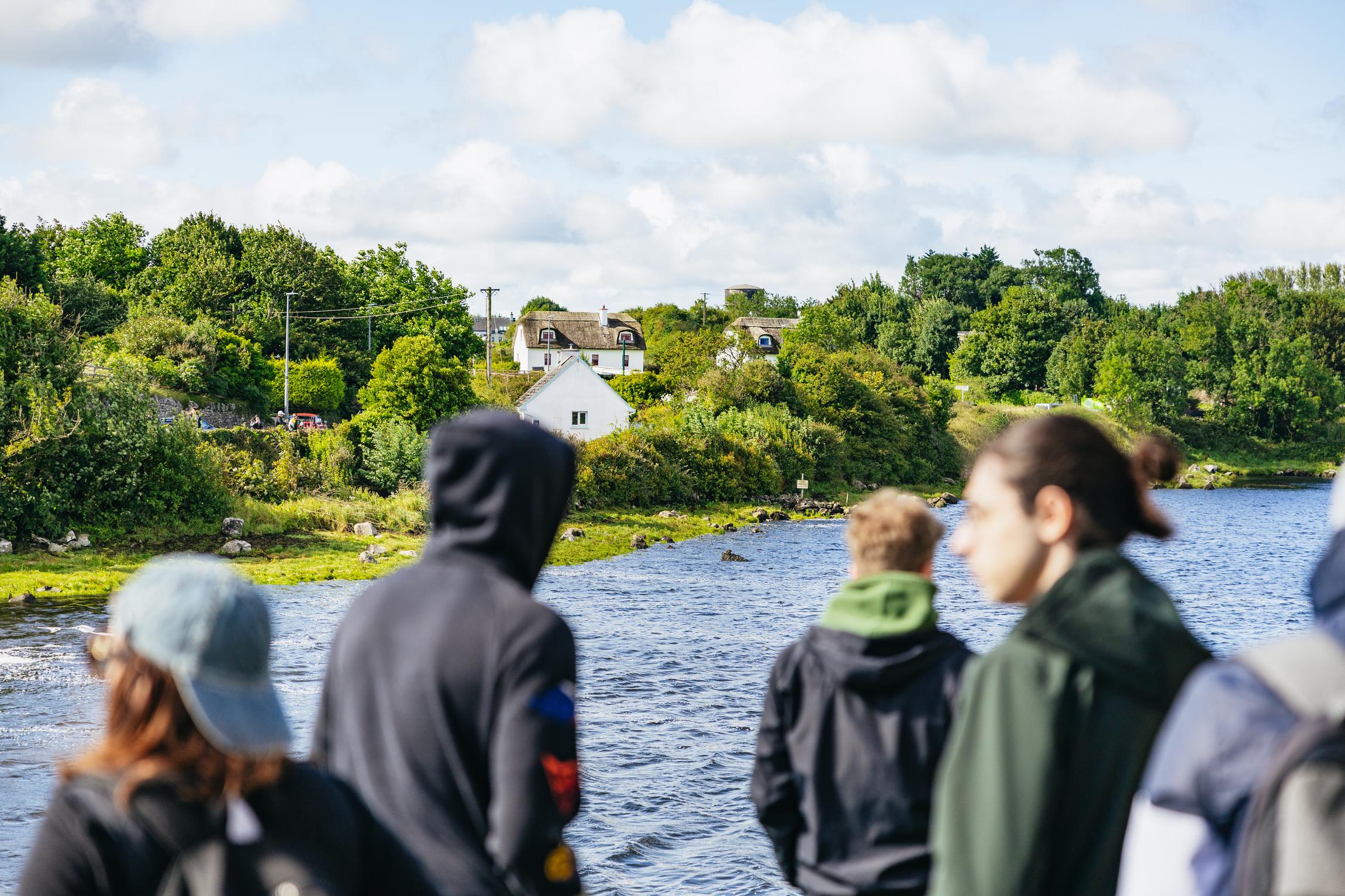 Cliffs of Moher & Burren Full-Day Tour from Galway