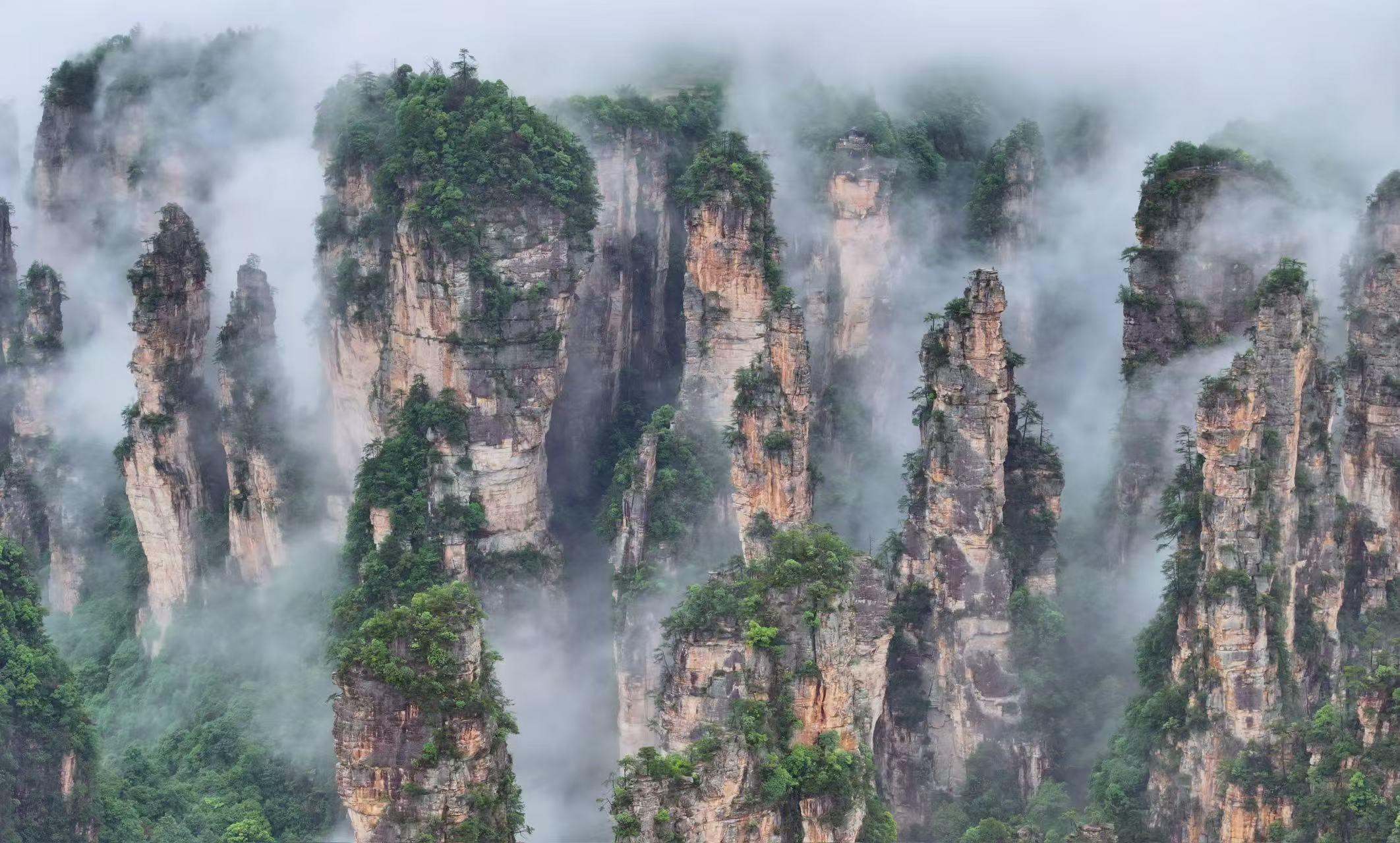 Zhangjiajie National Forest Park: Avatar Mountains Entry Ticket