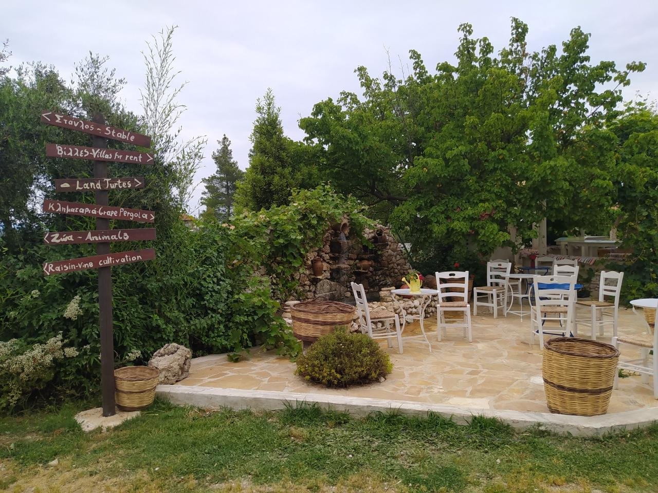 Zakynthos: Ultimate Shipwreck Beach & Blue Caves Day Expedition