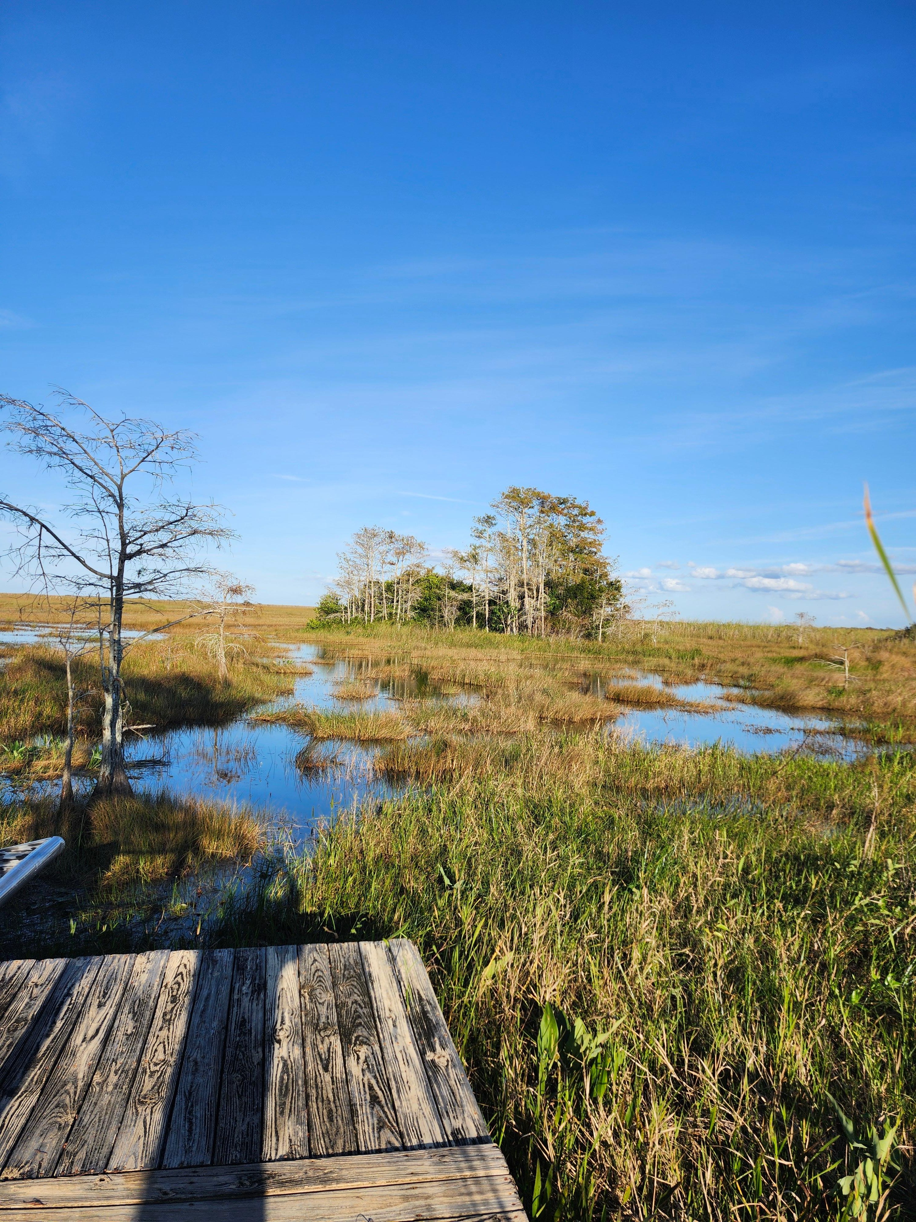 Small-Group Everglades Eco-Adventure & Private Islands Tour