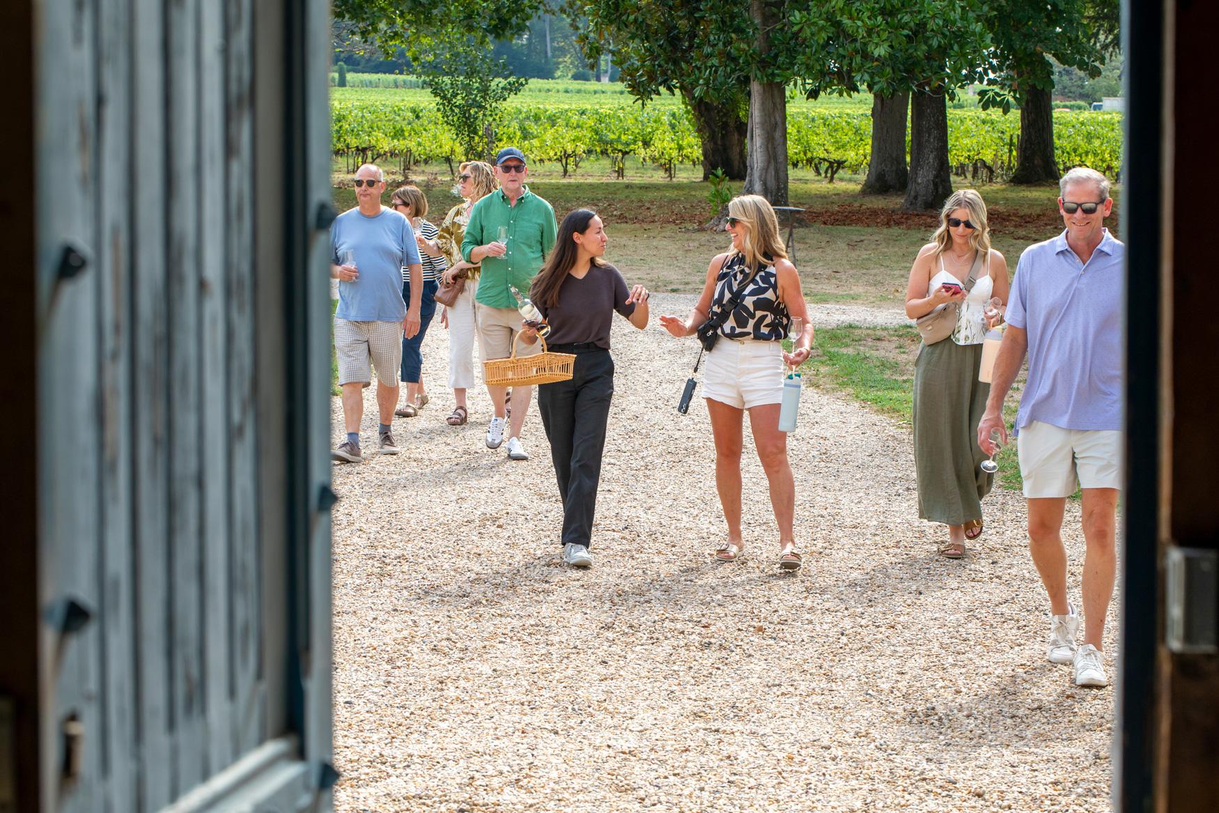 wine tour in Bordeaux — photo 2