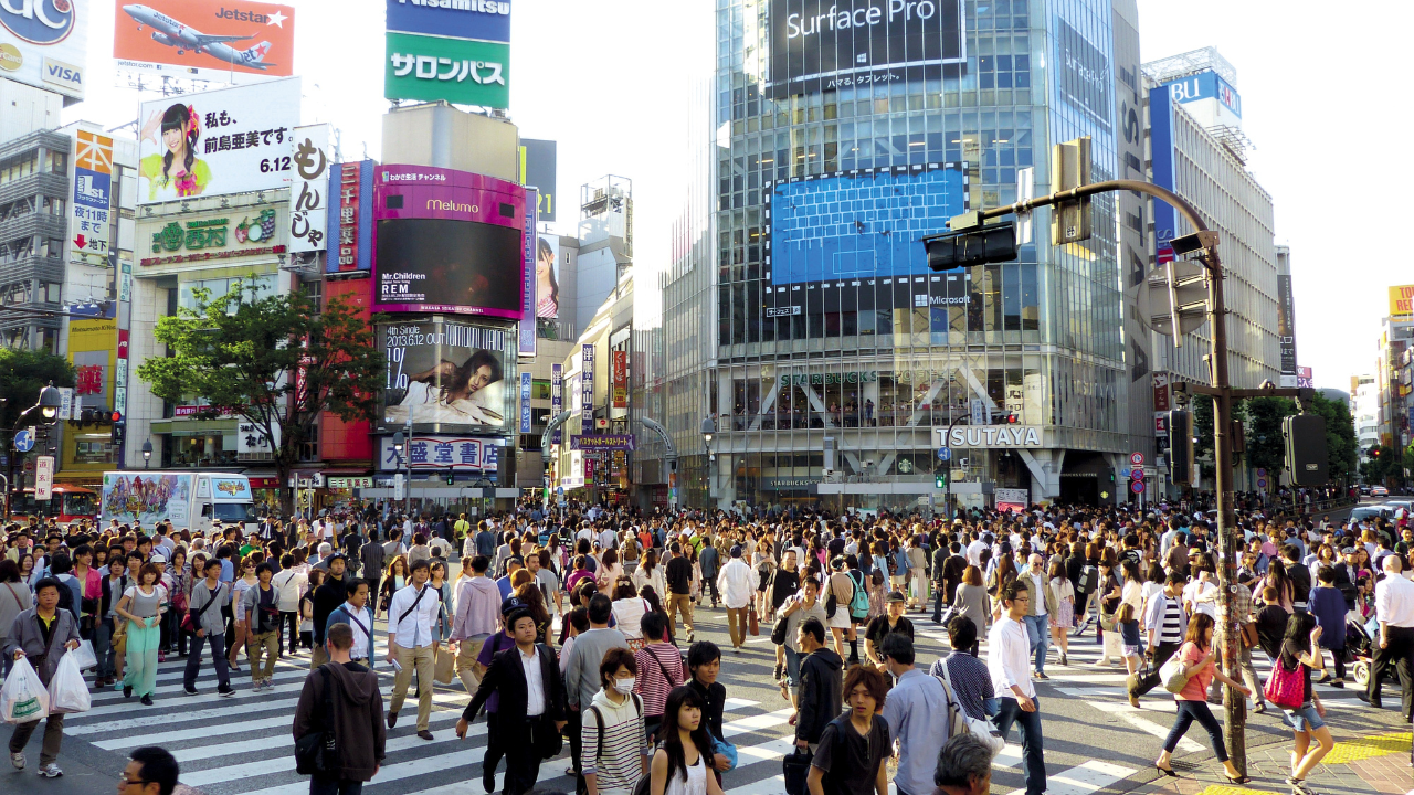 Shibuya Essentials: Hachiko, Sky & Street Culture Walking Tour