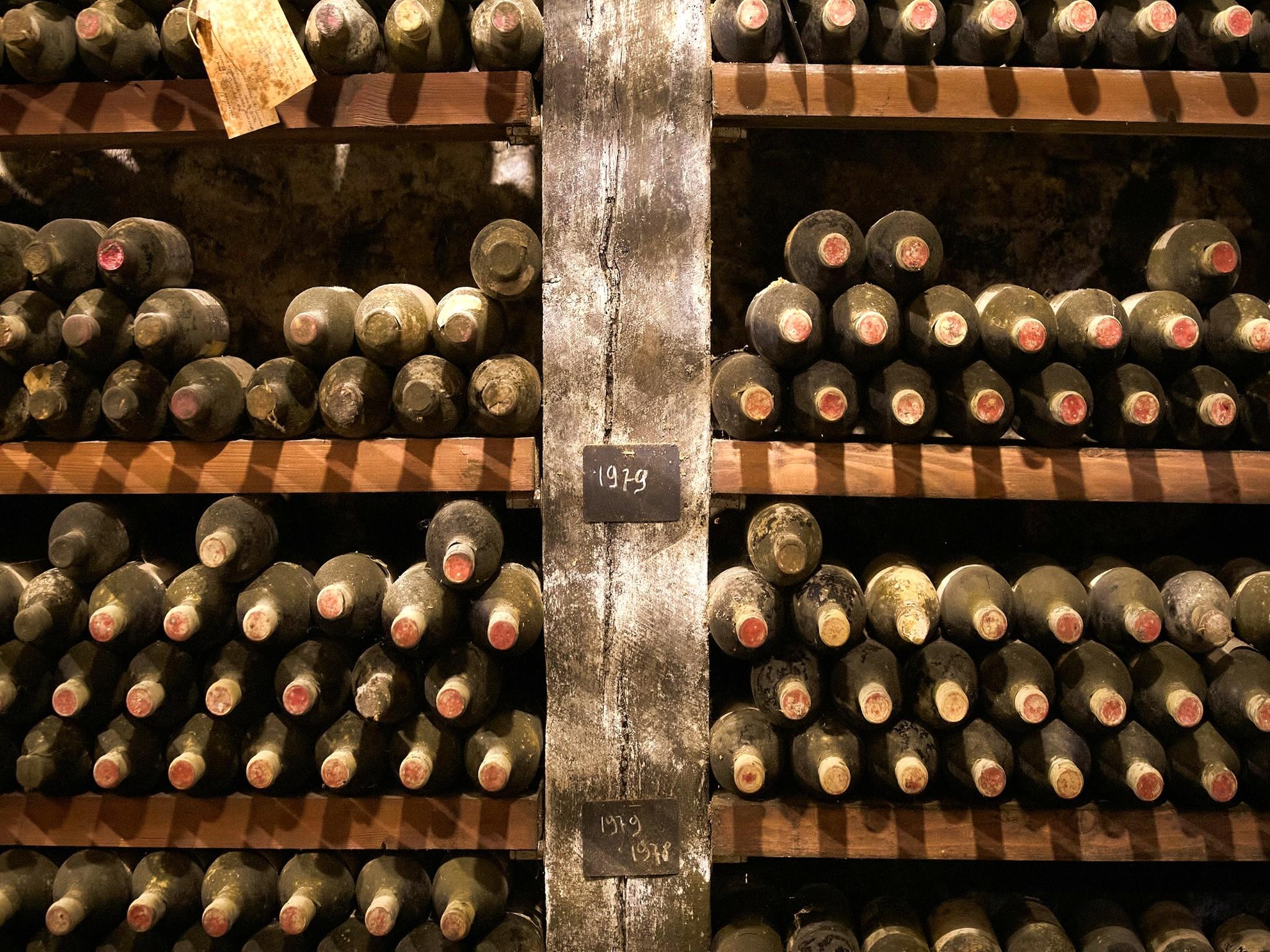 olive oil tasting in Tuscany — photo 1