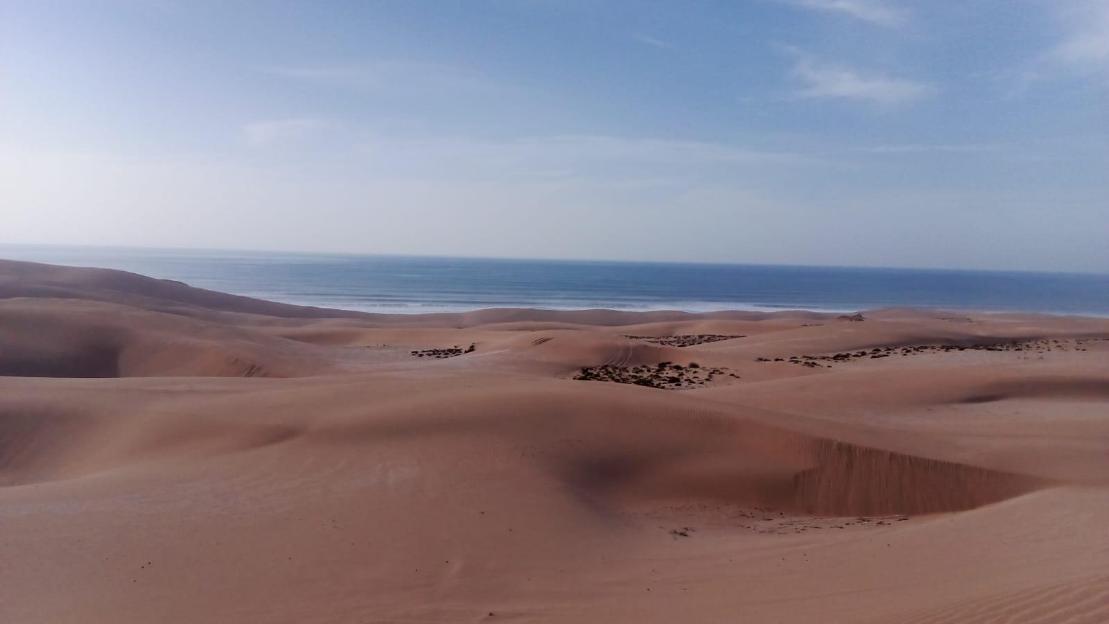 Agadir: Quad Biking and Sandboarding Desert Excursion