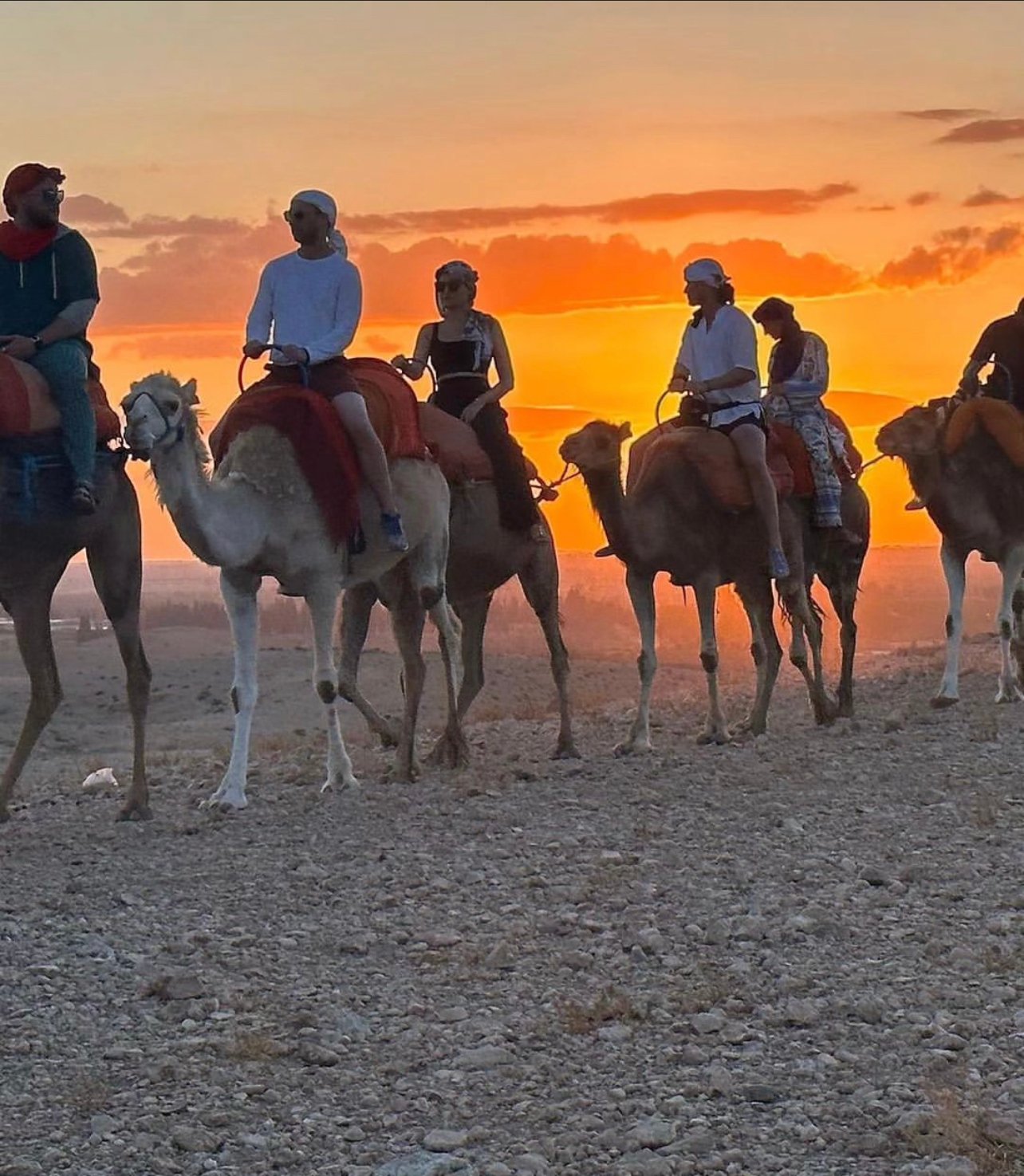 Agafay Desert Adventure: Quad Biking, Camel Ride & Berber Dinner Show