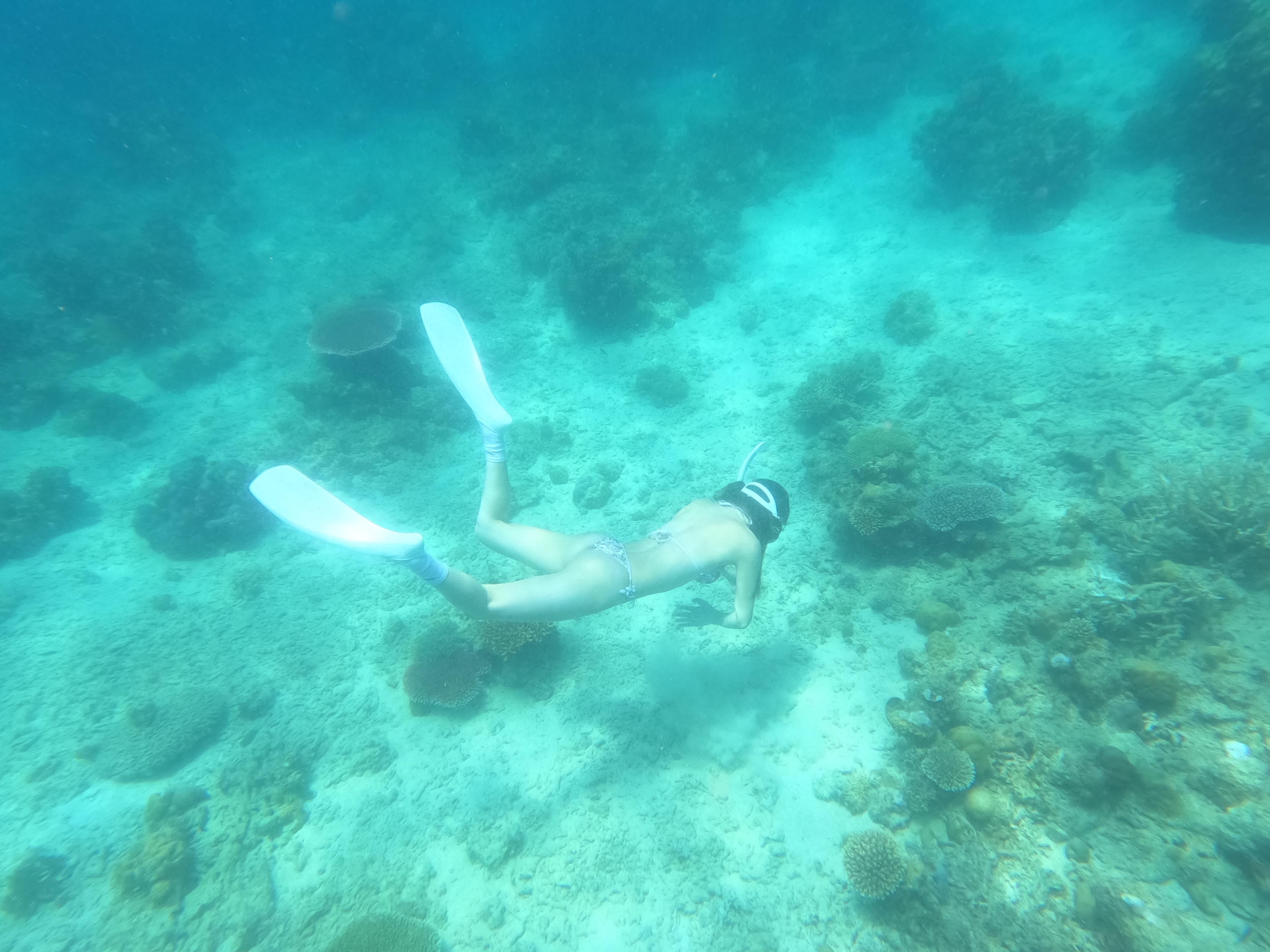 Coron Dugong Snorkeling & Coral Garden Day Tour