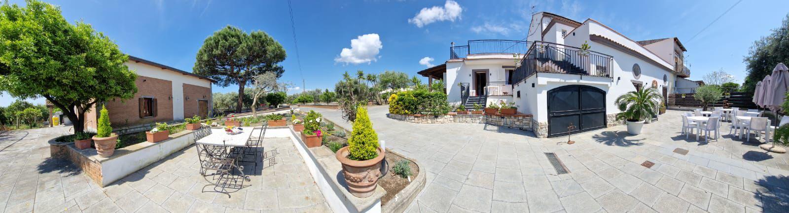 Pompeii Discovery: Ancient Ruins, Wine Tasting, and Lunch