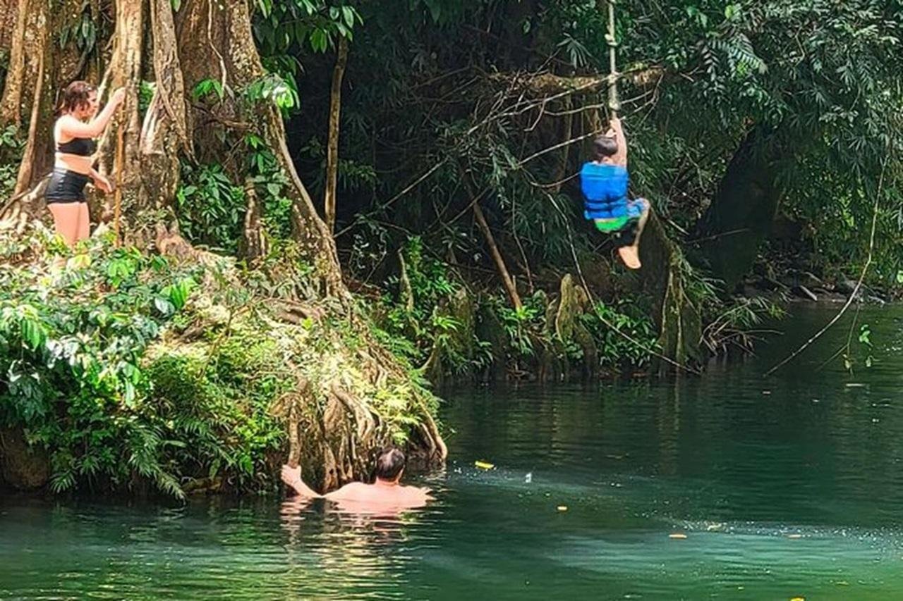 Private El Yunque Rainforest Expedition from San Juan