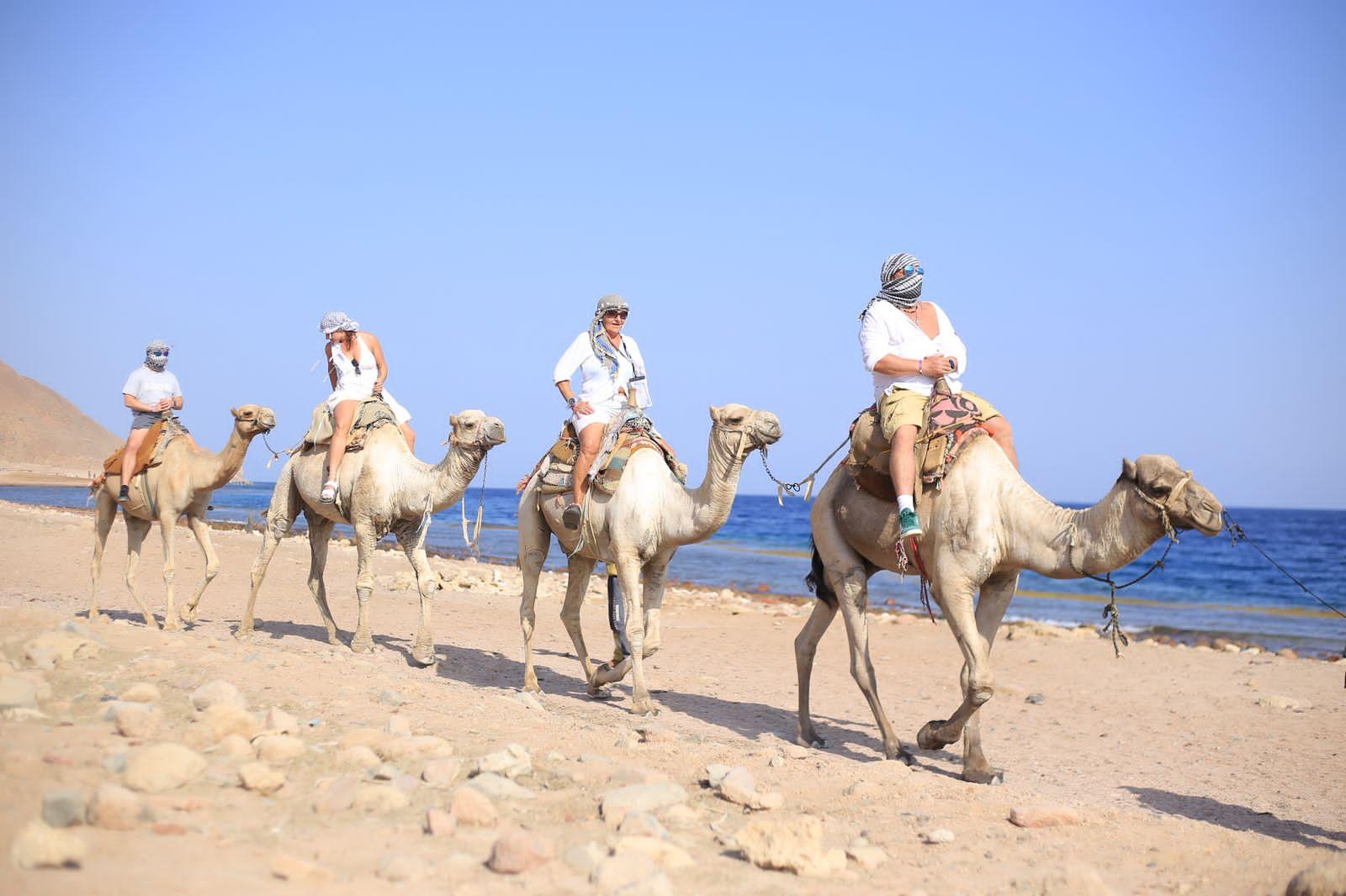 Sinai Desert & Dahab Full-Day Adventure from Sharm El Sheikh