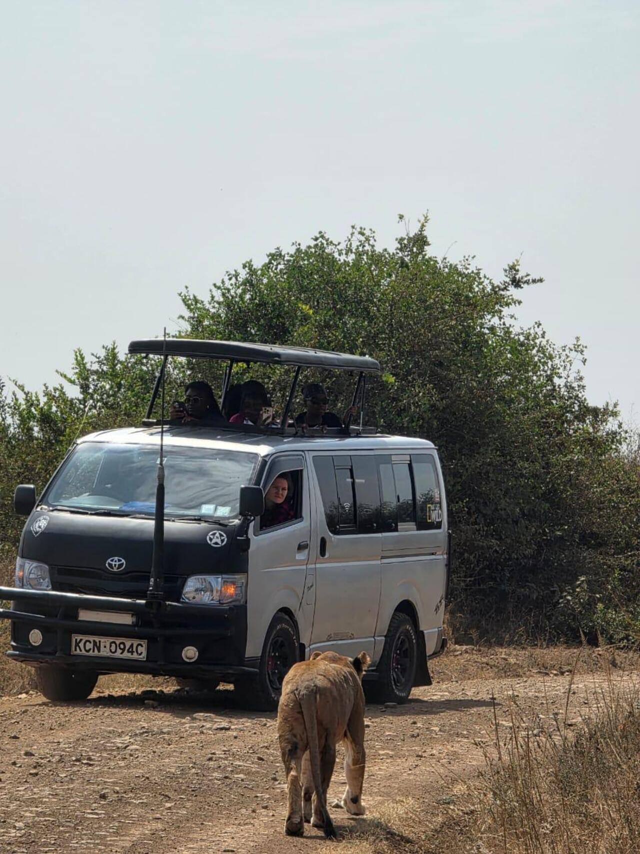 Nairobi National Park 5-Hour 4x4 Wildlife Safari