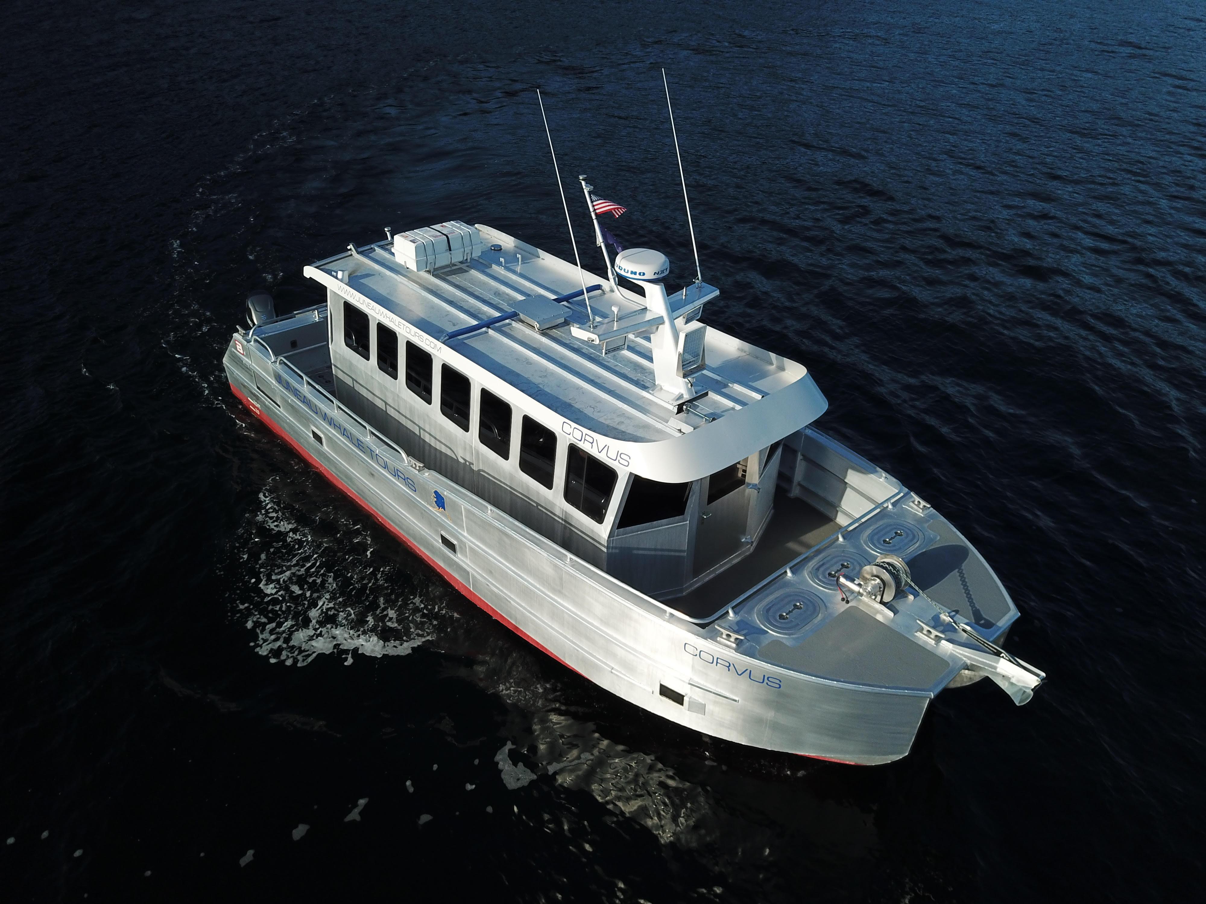 Juneau: 3.5-Hour Small Group Whale Watching Tour
