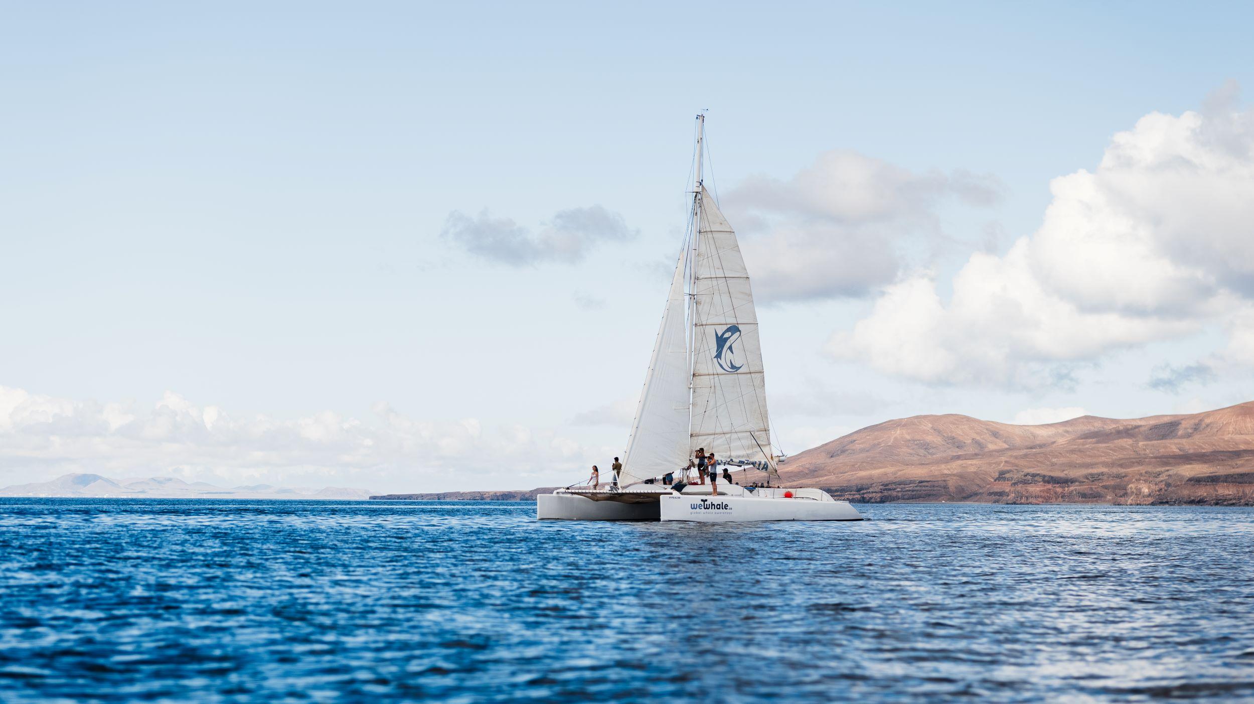 Electric Catamaran Sunset Cruise with Dolphin Watching