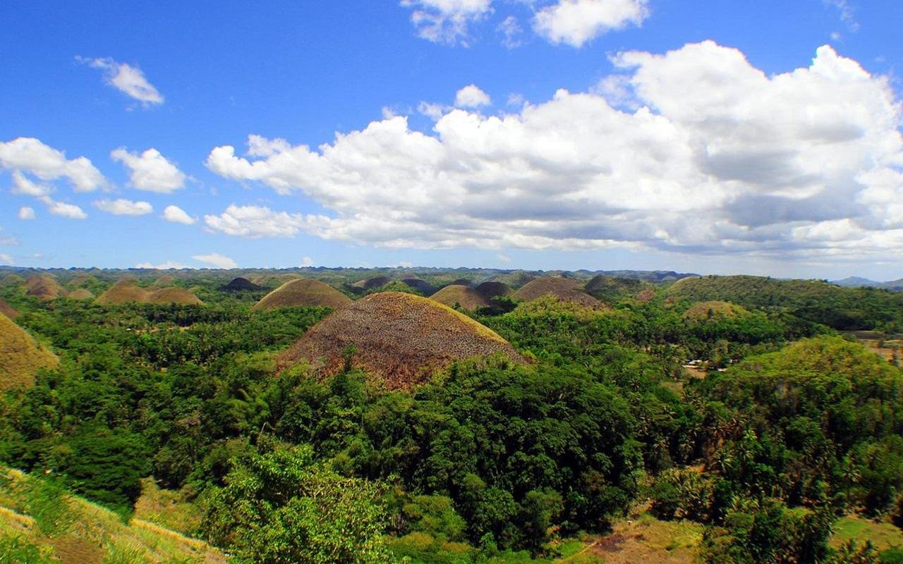Bohol Island Discovery with Loboc River Lunch Cruise from Cebu