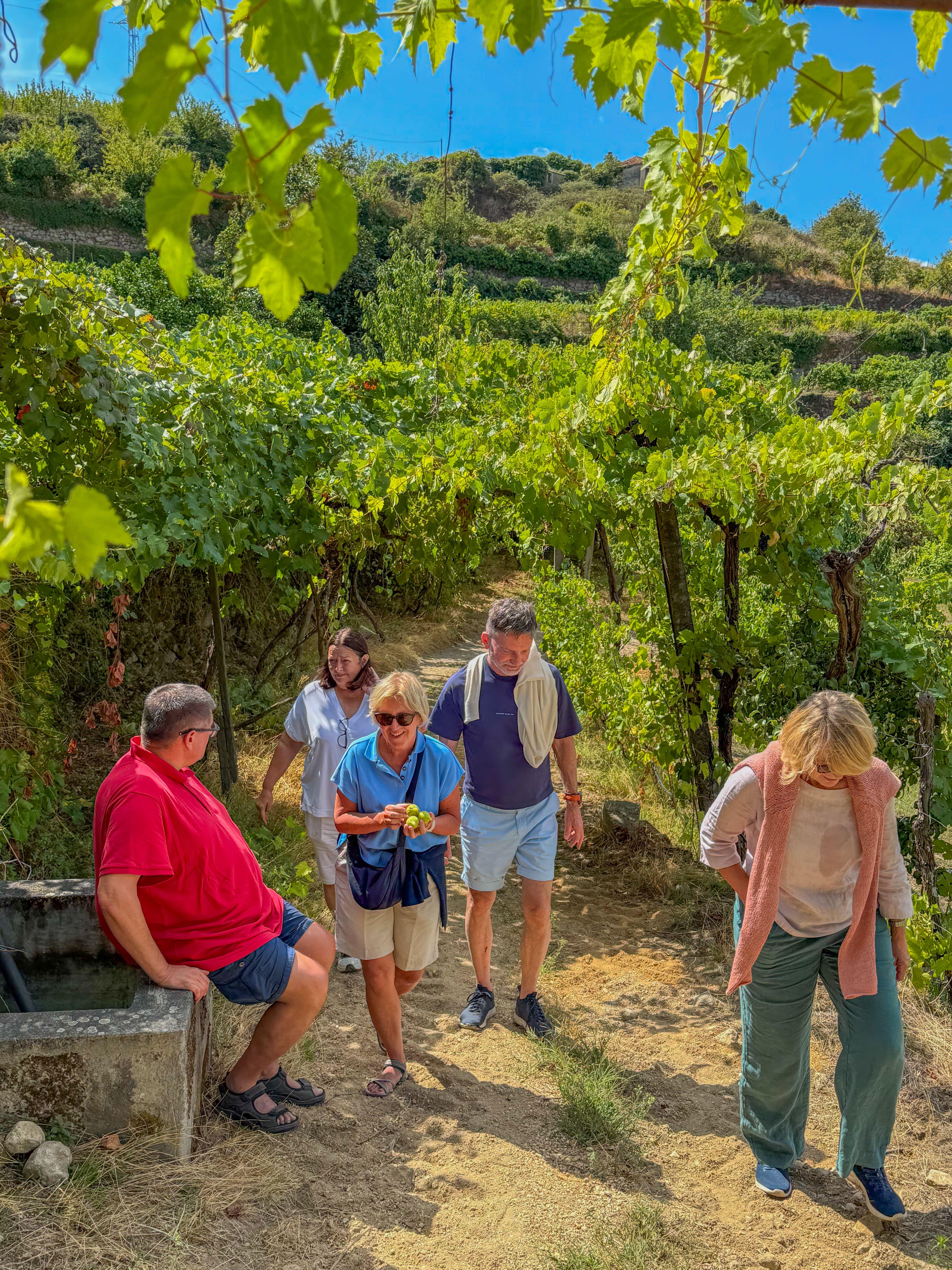 olive oil tasting in Porto — photo 2