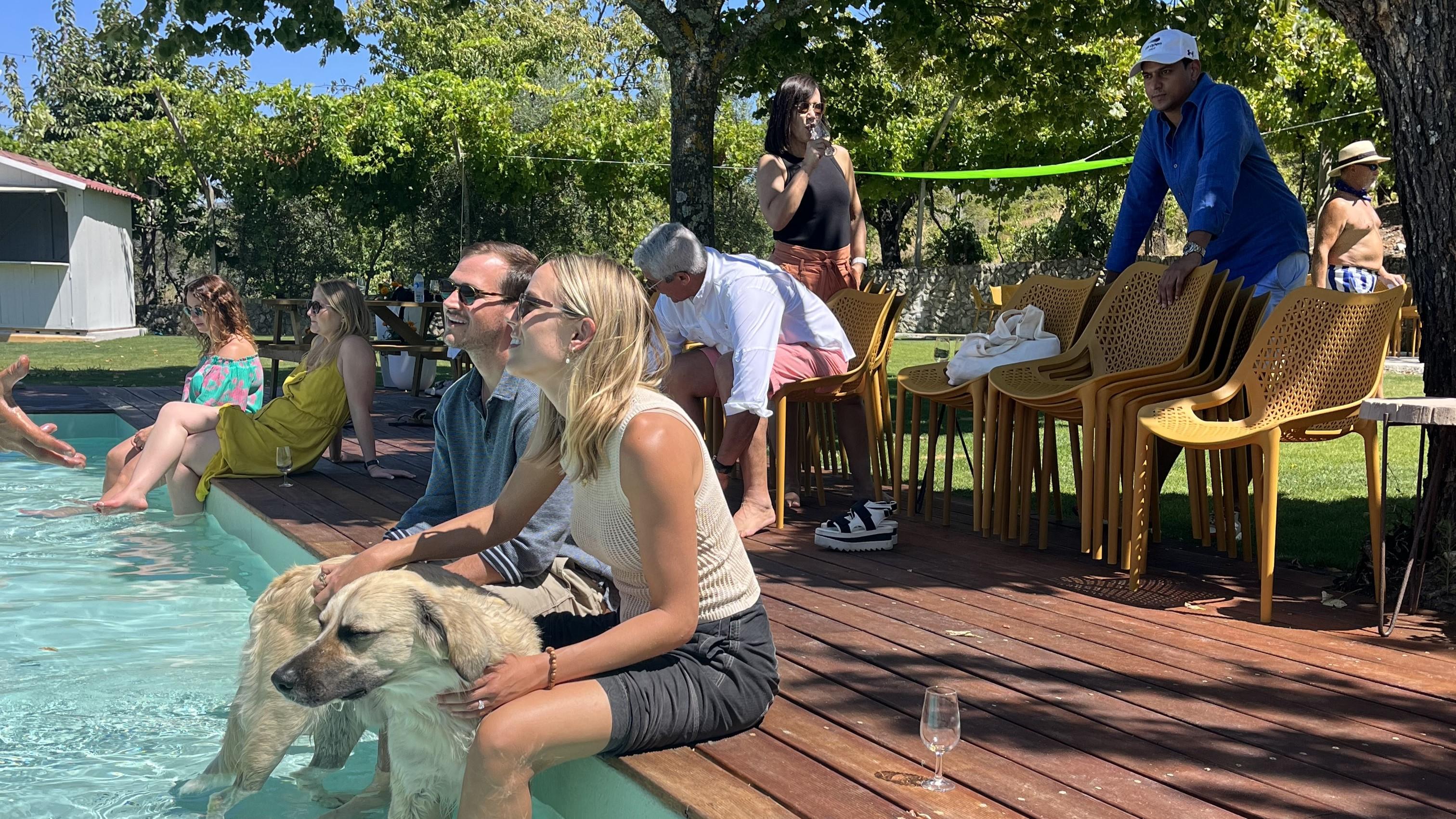 Douro Valley Wine & Boat Experience from Porto
