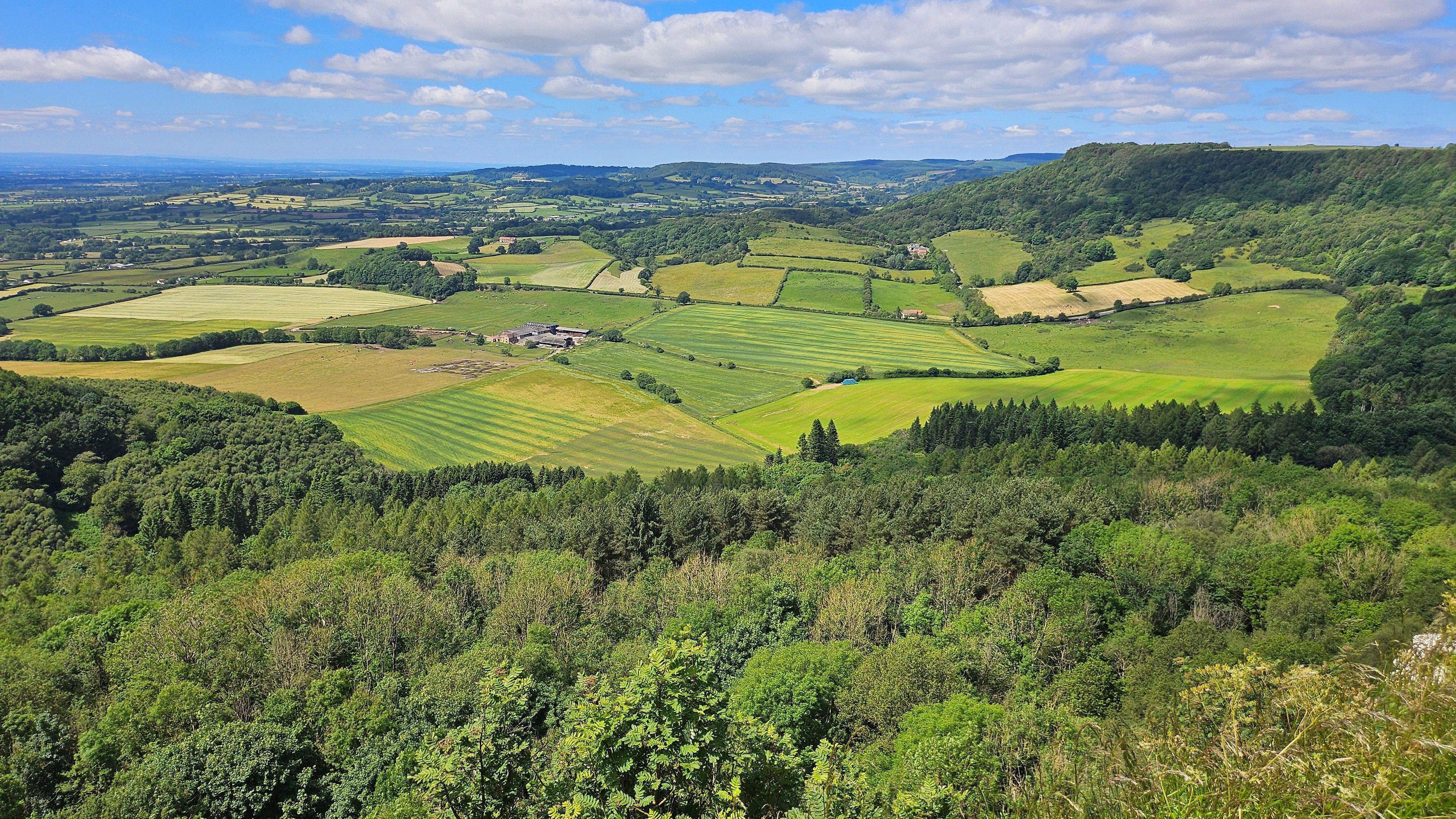North York Moors, Steam Train & Whitby Small-Group Tour