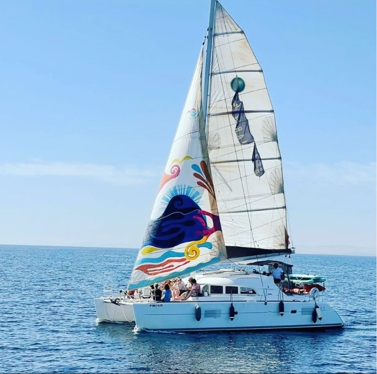 Marbella Dolphin Watching Catamaran Tour