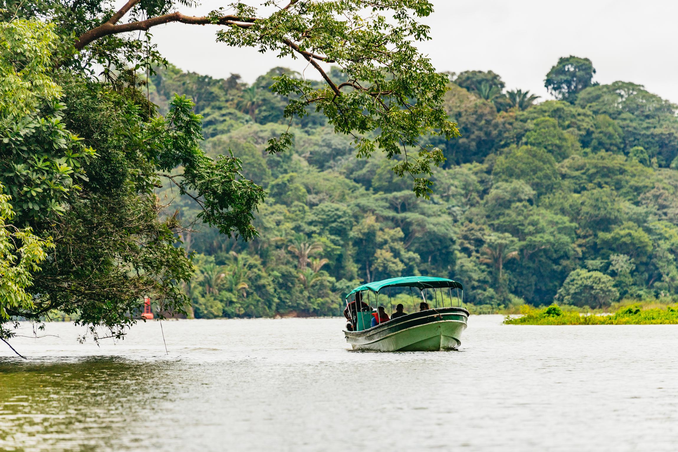 Panama City: Monkey Island Wildlife Boat Expedition