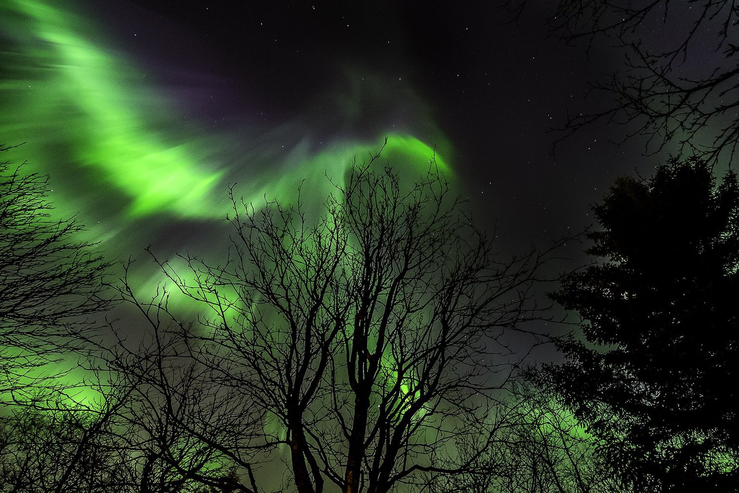 Icelandic Golden Circle & Aurora Borealis Adventure