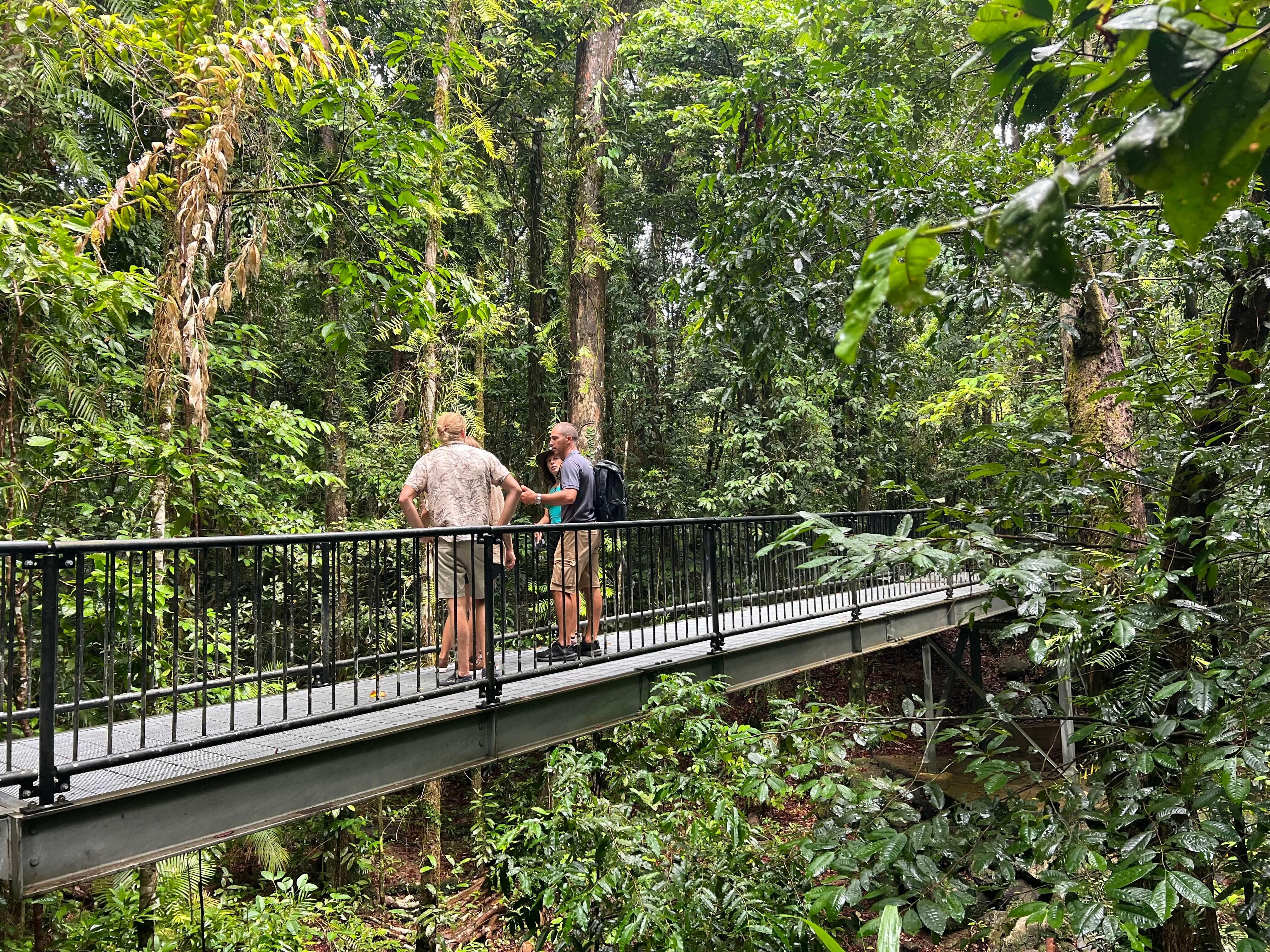 Private Daintree Rainforest & Crocodile Cruise