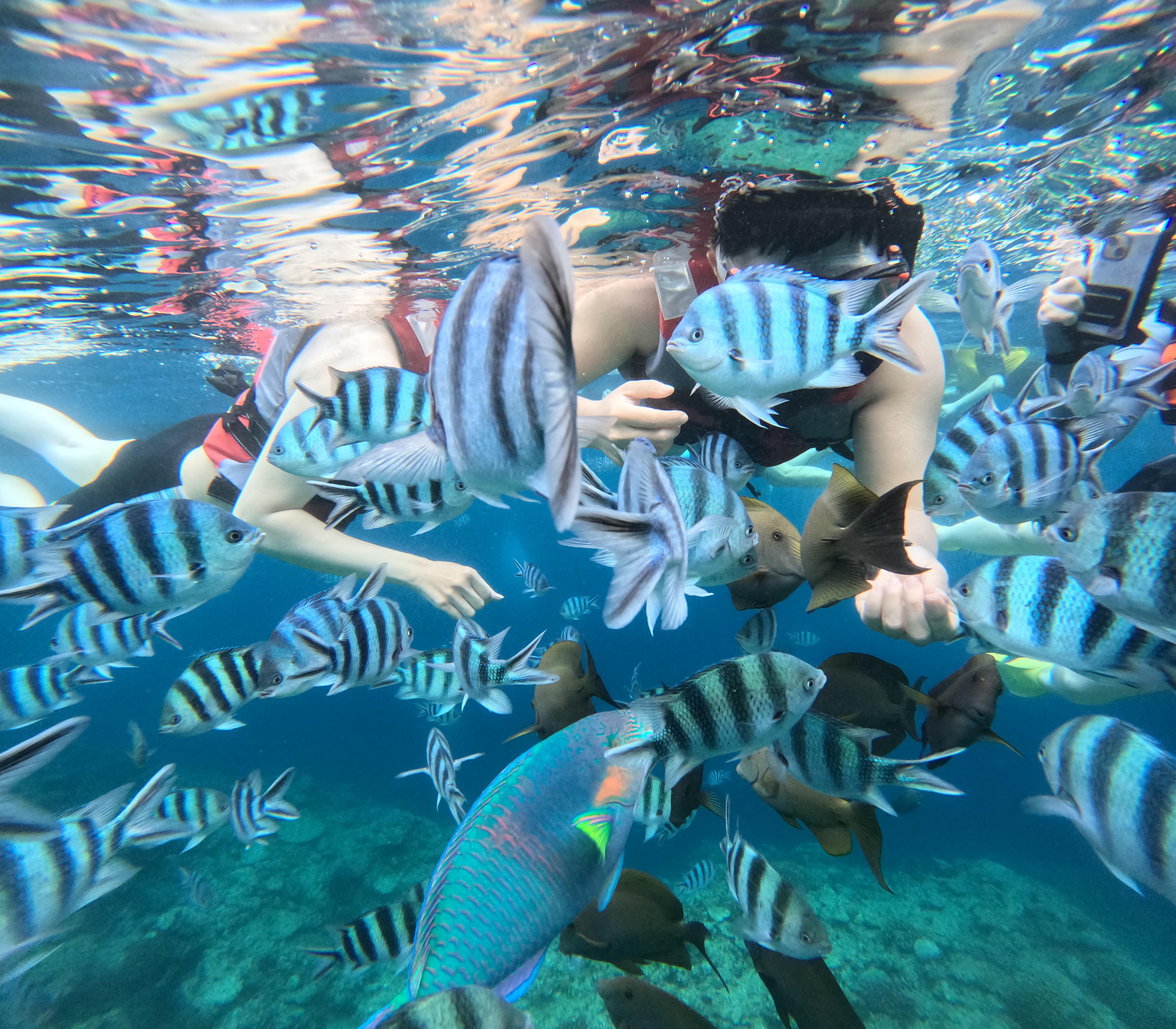 From Naha or Chatan: Blue Cave Snorkeling boat entry
