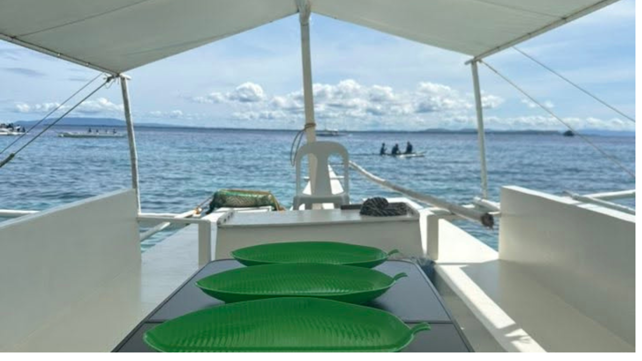 Bohol Island Hopping: Dolphins, Snorkeling & Sandbar