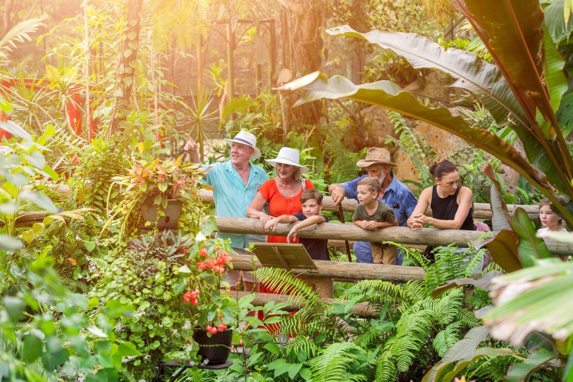 Kuranda Rainforest Day Trip: Skyrail Gondola & Scenic Train from Port Douglas